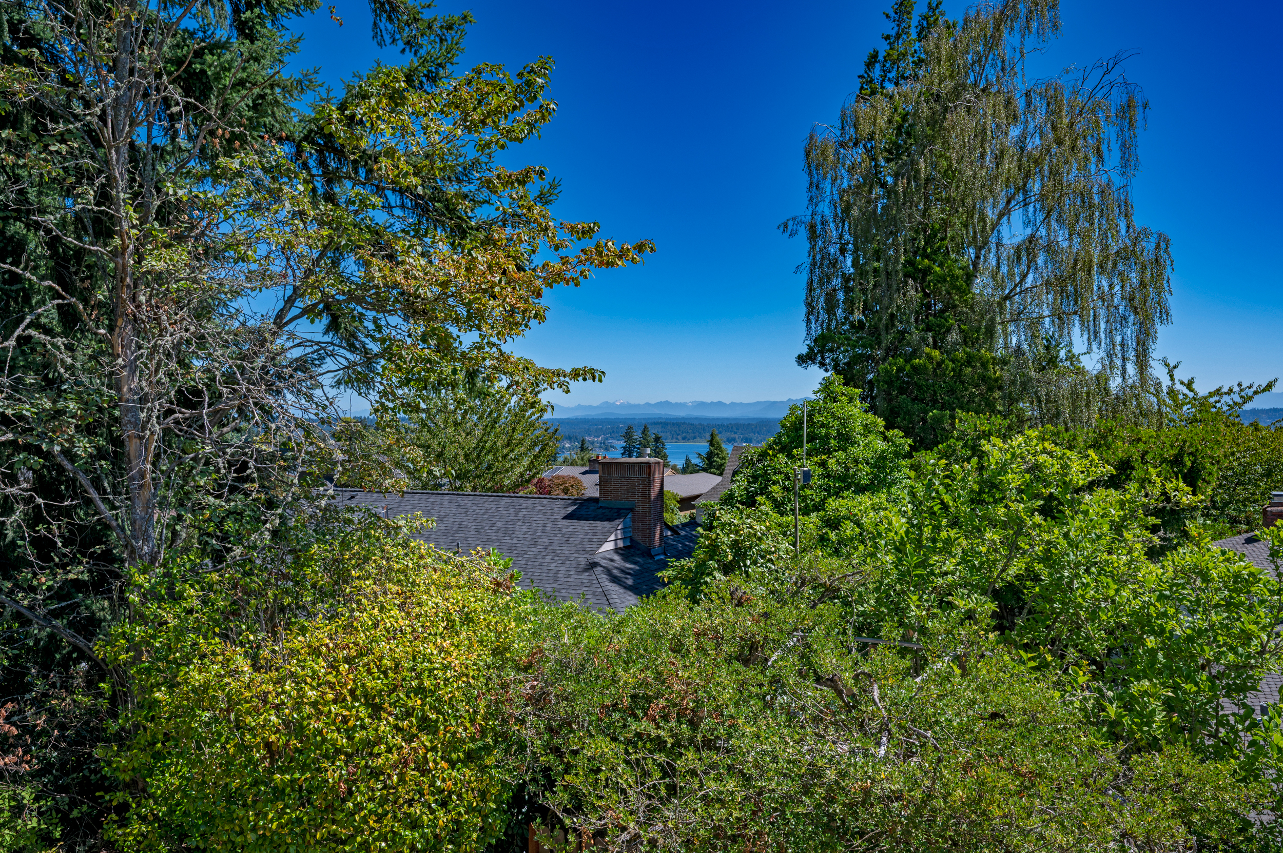  4902 NE 70th St, Seattle, WA 98115 - 物件實景
