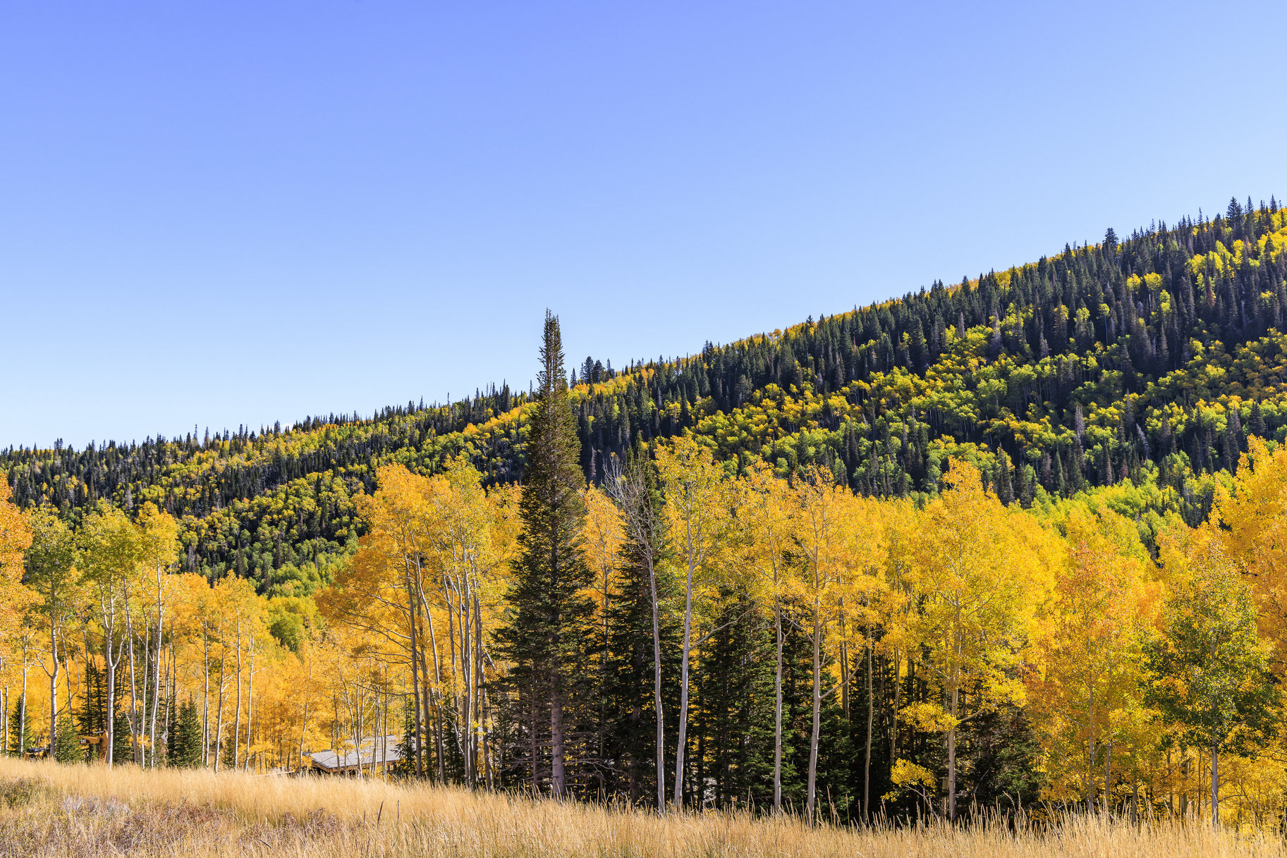  Incredible 28 Acre Estate Lot in the Colony at White Pine Canyon - 物件實景