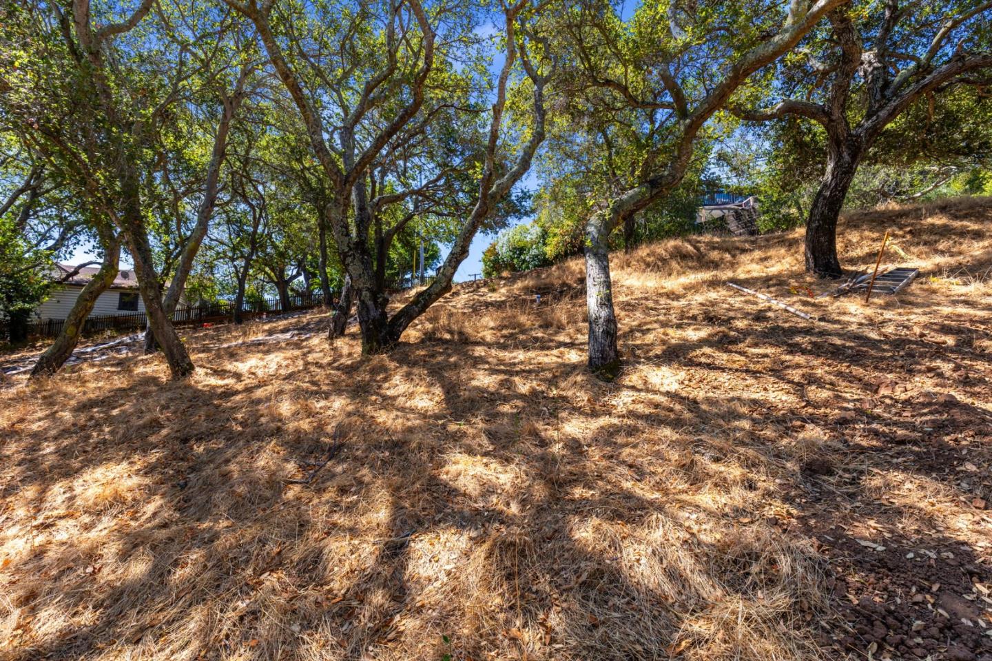 Redwood City, California, 94062, United States, ,Land,For Sale,1907554
