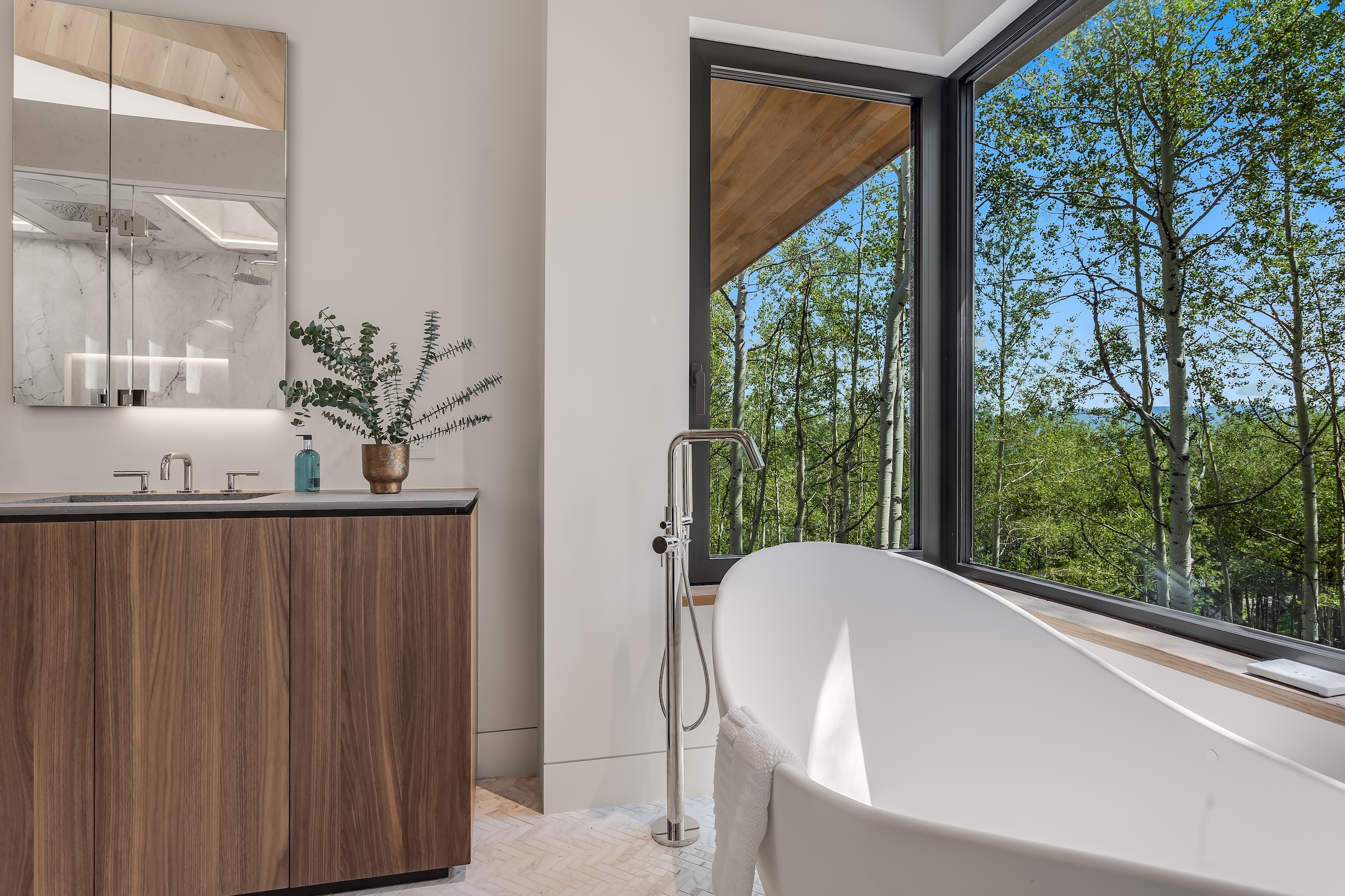  231 Maple Ridge Lane, Snowmass Village, CO 81615 - 物件實景