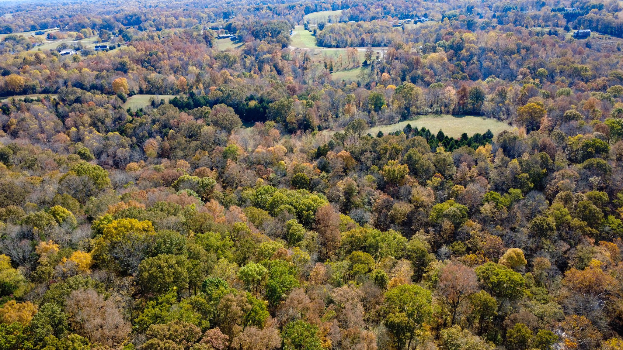 Clarksville, Tennessee, 37043, United States, 4 Bedrooms Bedrooms, ,4 BathroomsBathrooms,Residential,For Sale,1989948