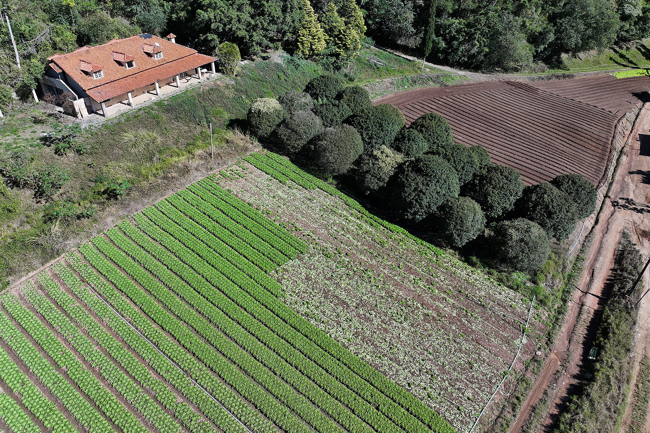  Productive estate spanning 865 acres in the mountains of Teresópolis - 物件實景