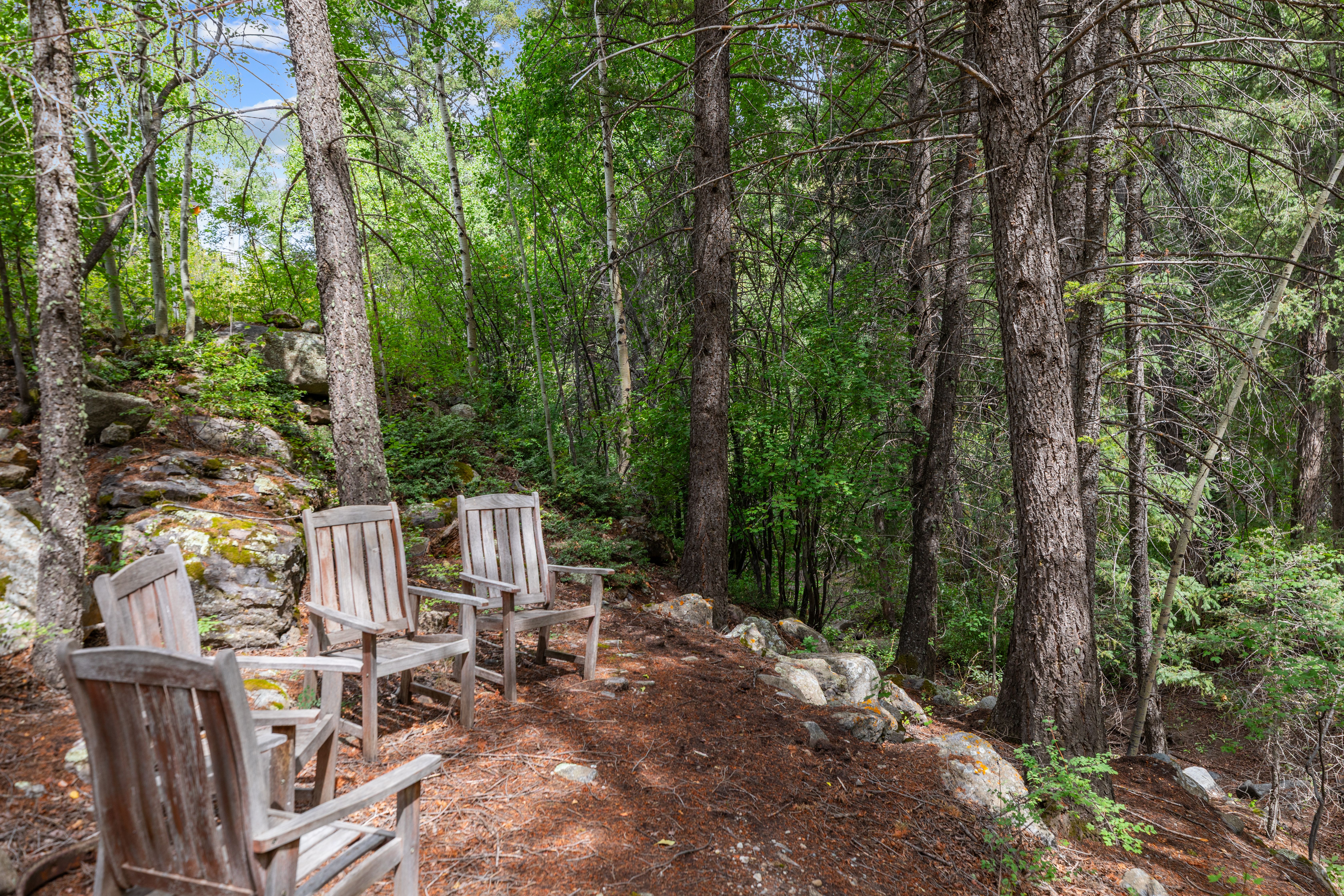  Peaceful Neighborhood in Ames, Colorado, minutes to Telluride - 物件實景