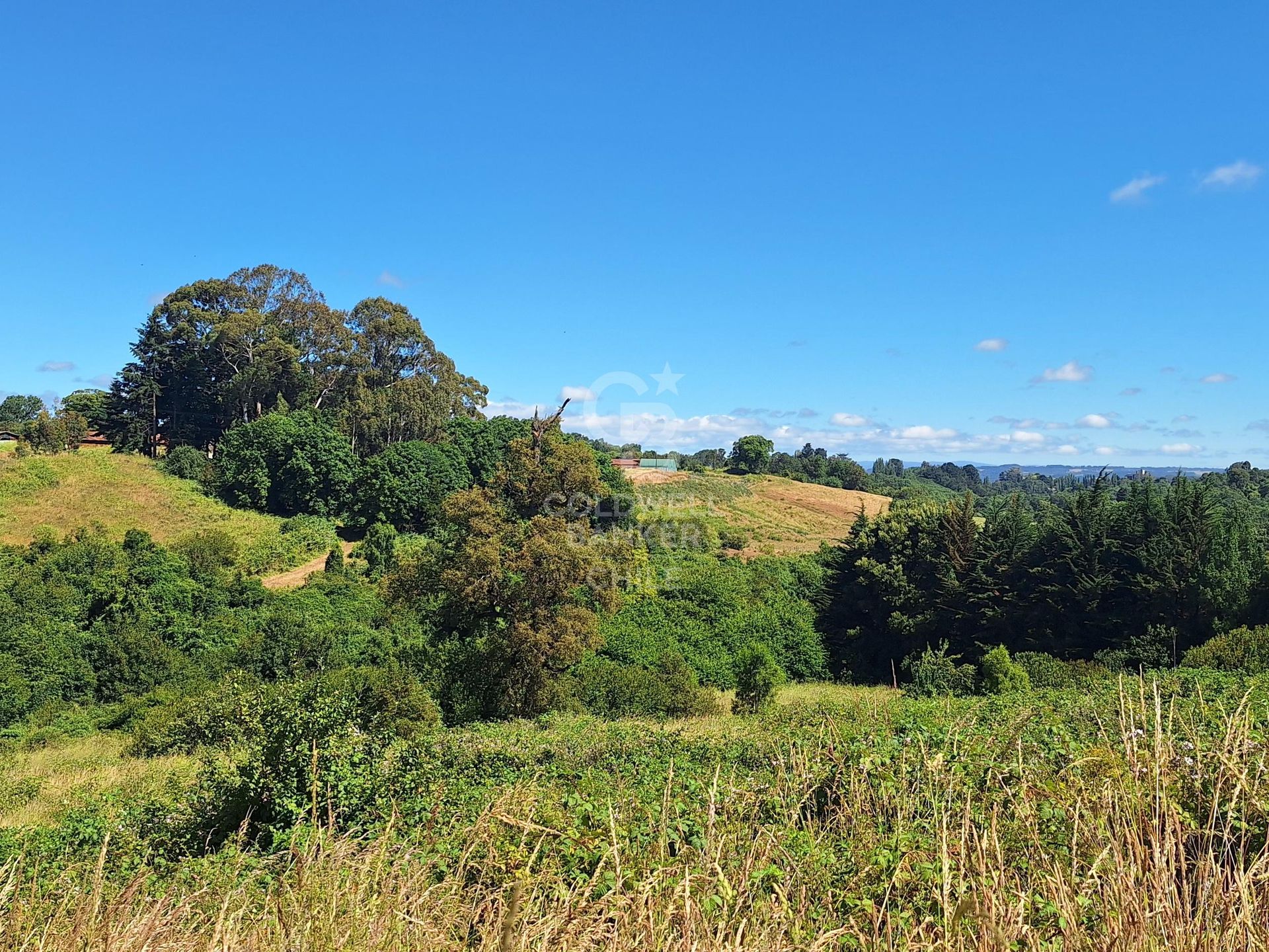Osorno, Chile, ,Land,For Sale,1972838