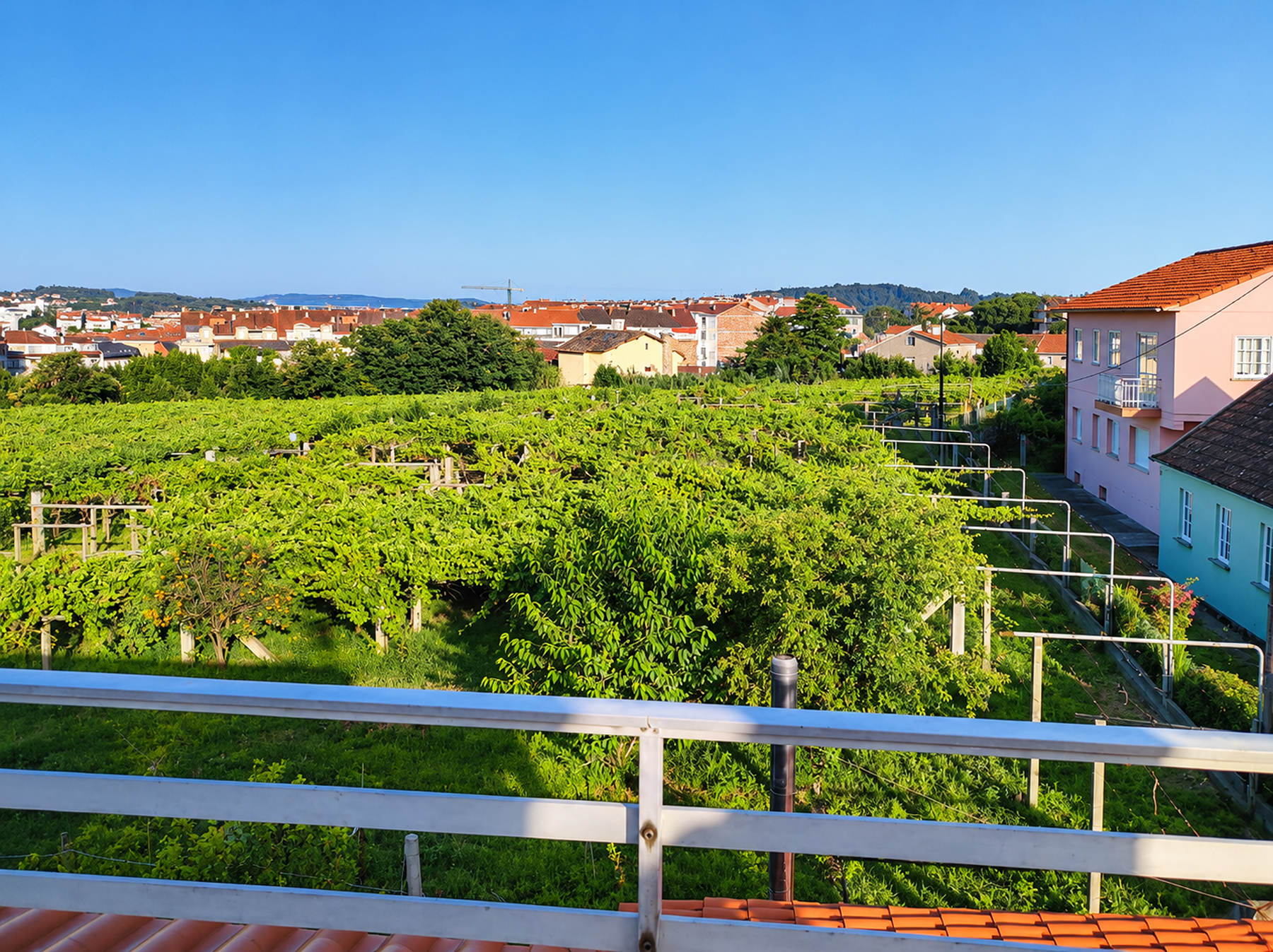  Residential land in Sanxenxo, Pontevedra - 物件實景