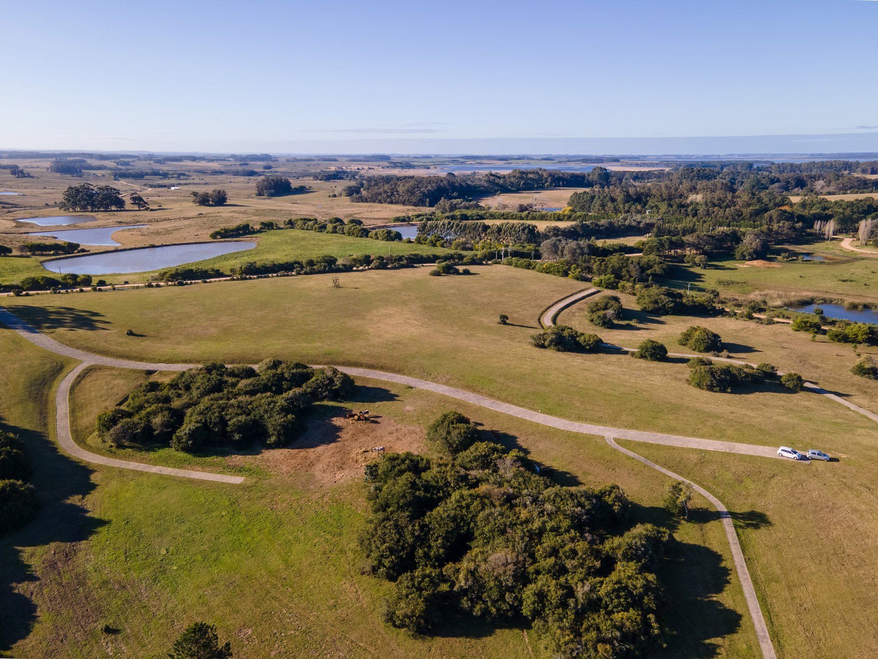  Magnificent Farm of 5 Hectares in José Ignacio - 物件實景