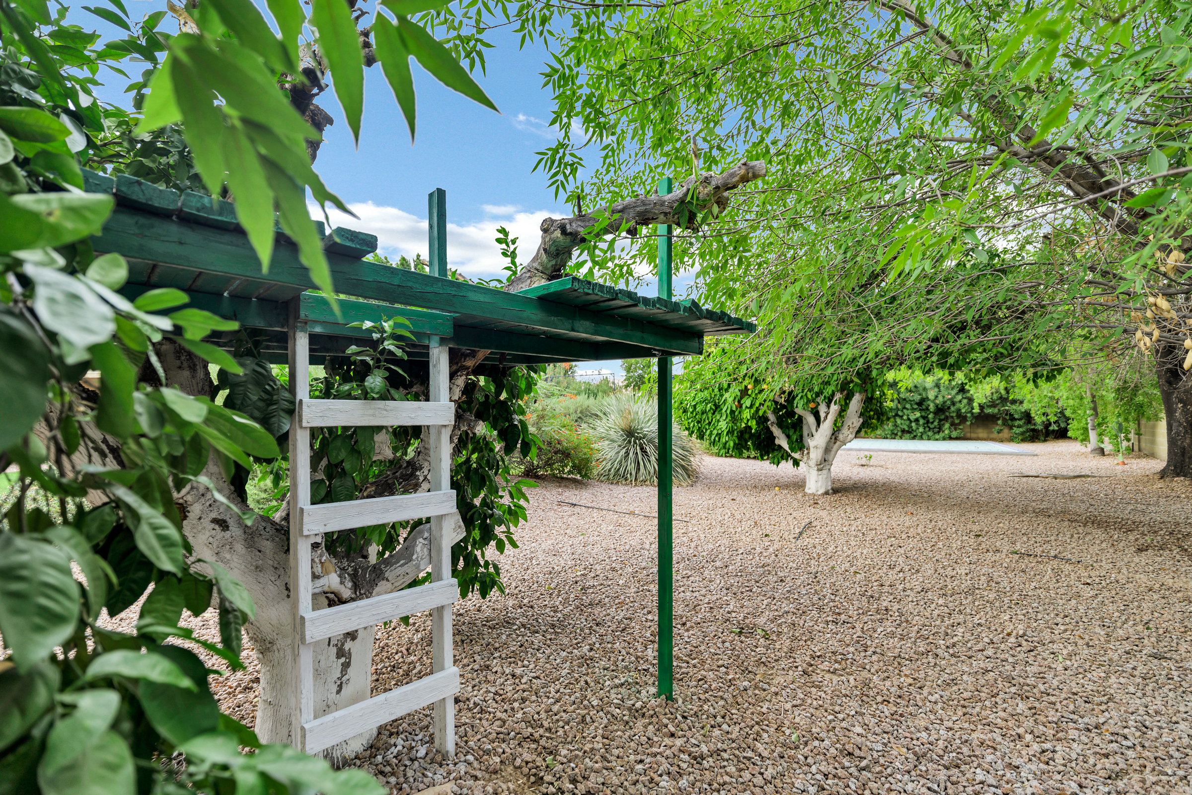 Mesa, Arizona, 85205, United States, 6 Bedrooms Bedrooms, ,3 BathroomsBathrooms,Residential,For Sale,1900615