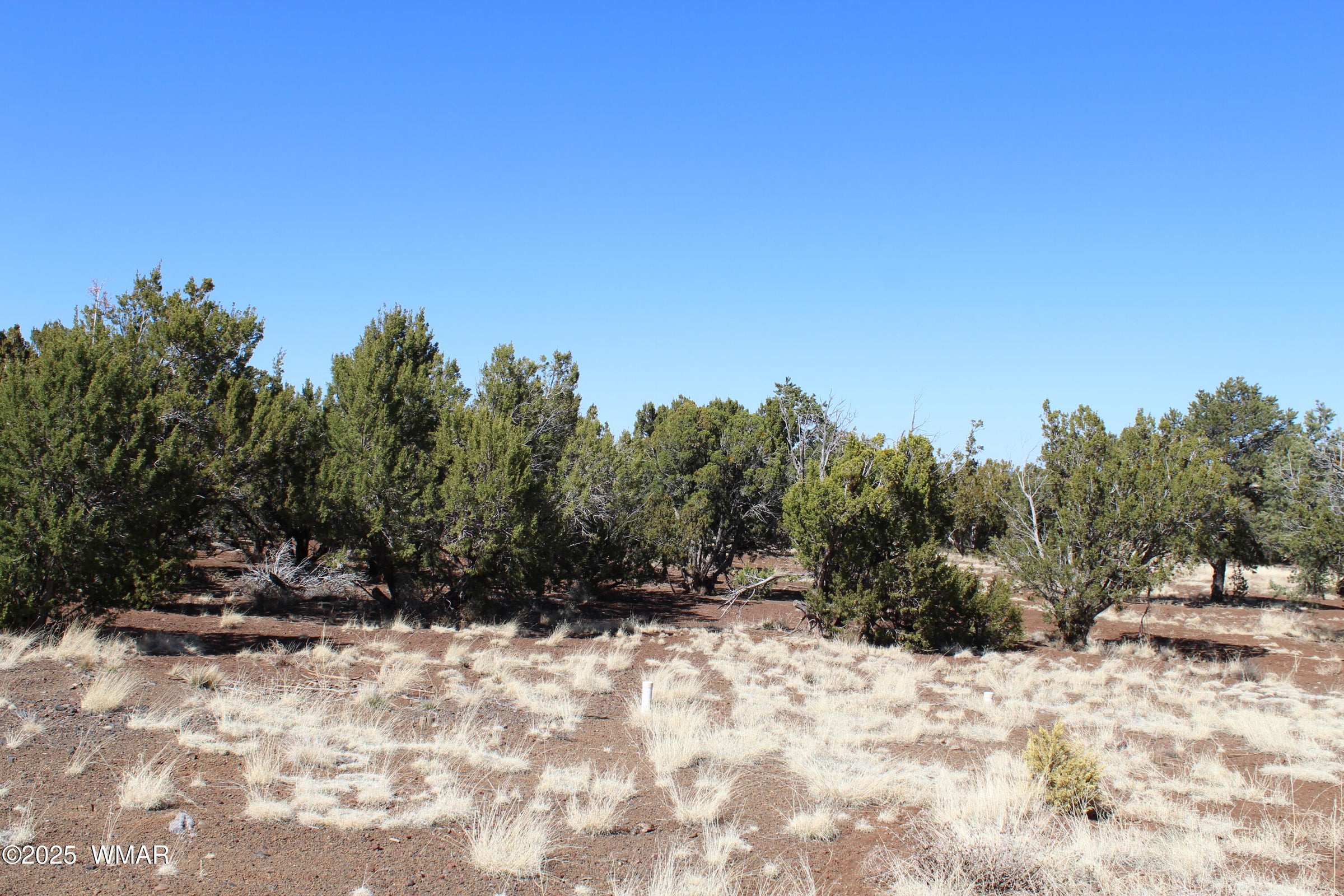 Concho, Arizona, 85924, United States, 4 Bedrooms Bedrooms, ,Residential,For Sale,2005351