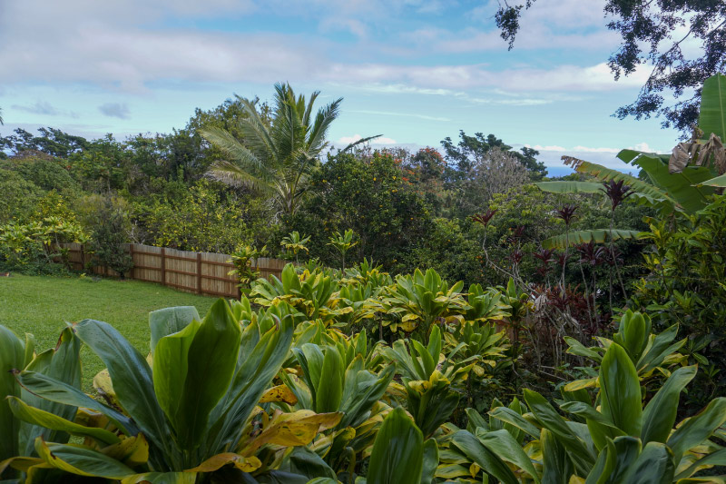 Honokaa, Hawaii, 96727, United States, 2 Bedrooms Bedrooms, ,1 BathroomBathrooms,Residential,For Sale,1992015