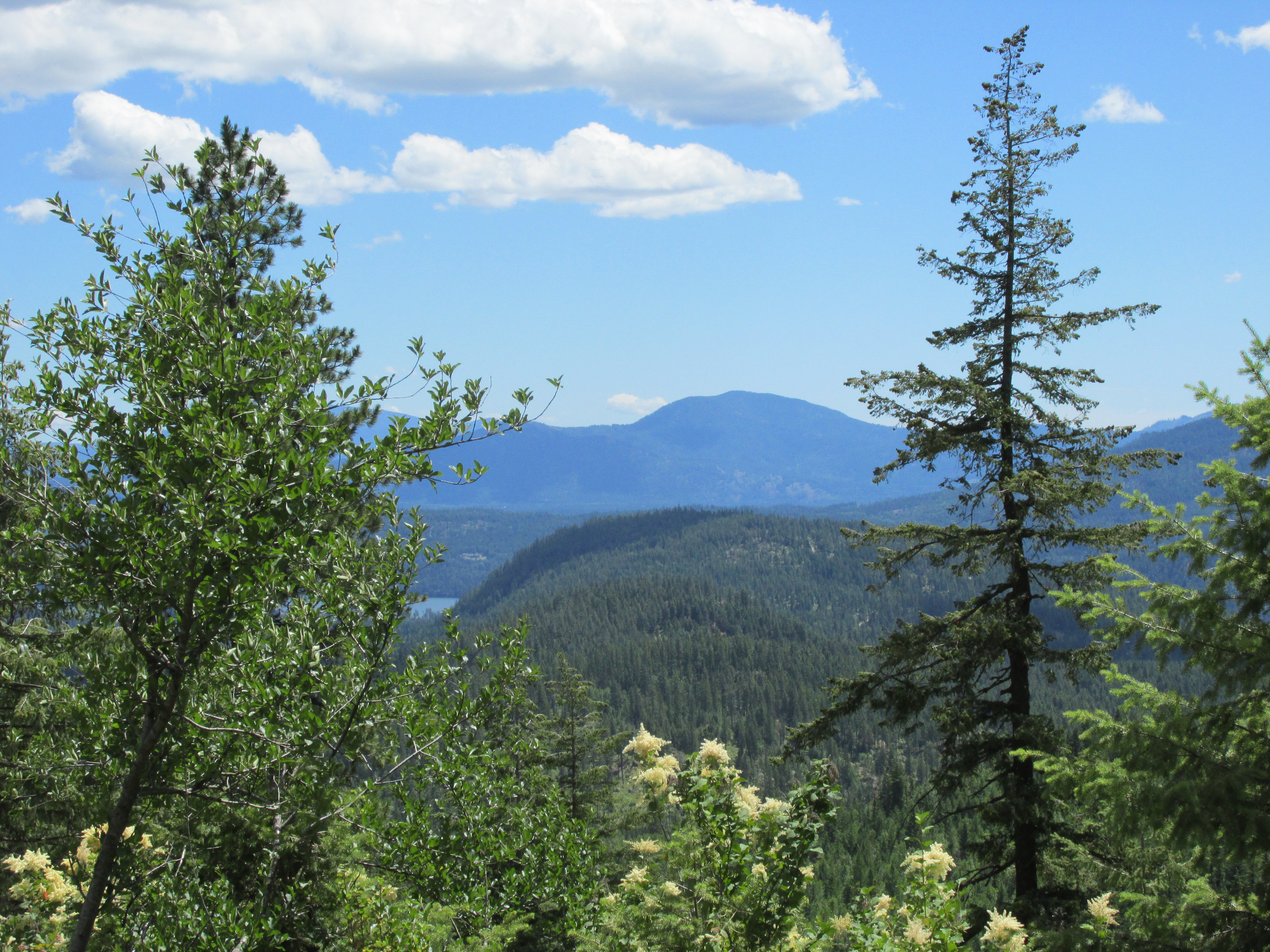 Sandpoint, Idaho, 83864, United States, 5 Bedrooms Bedrooms, ,3 BathroomsBathrooms,Residential,For Sale,1792102