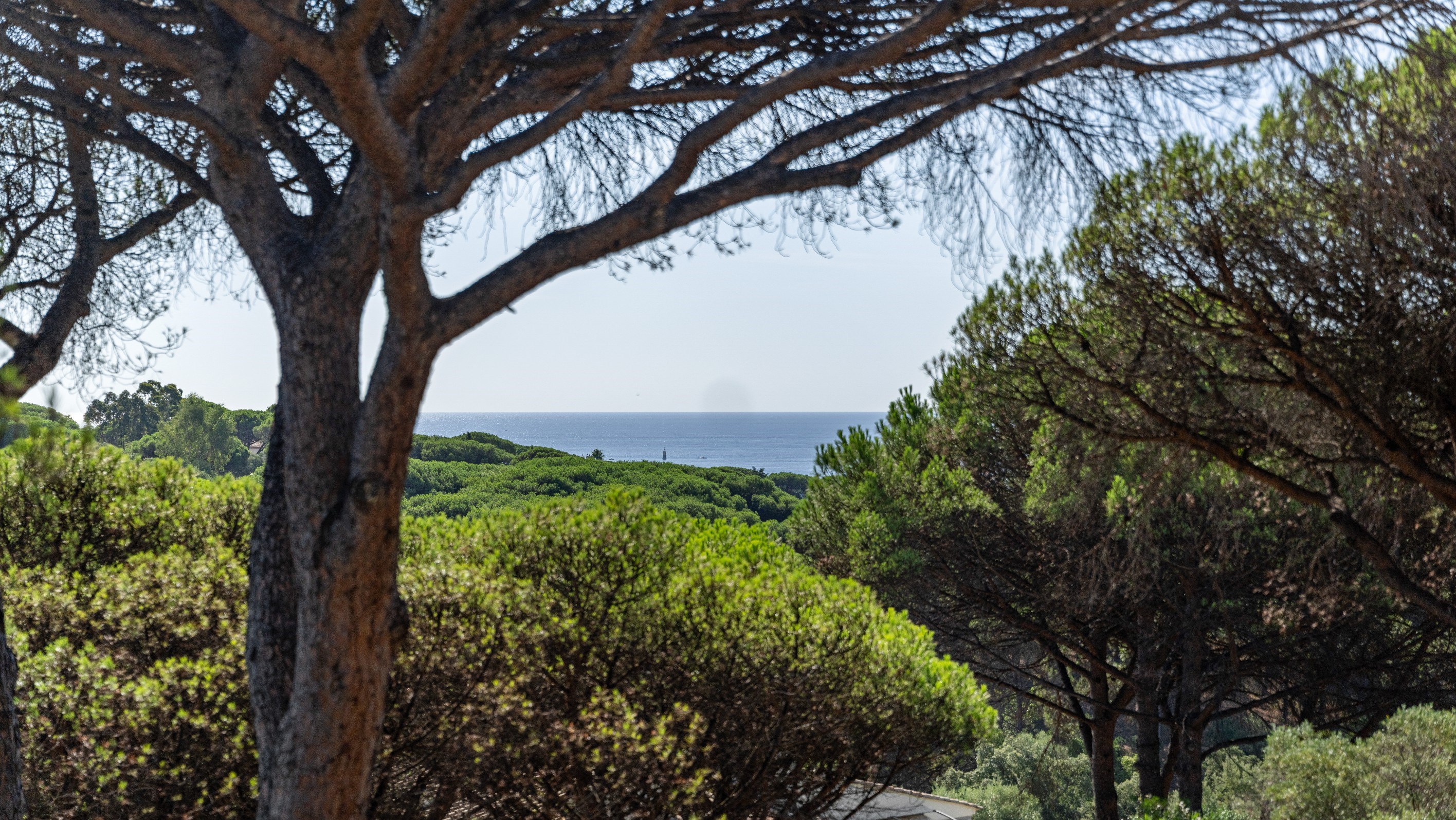  Sainte Maxime La Nartelle, property near the beach with development potential - 物件實景
