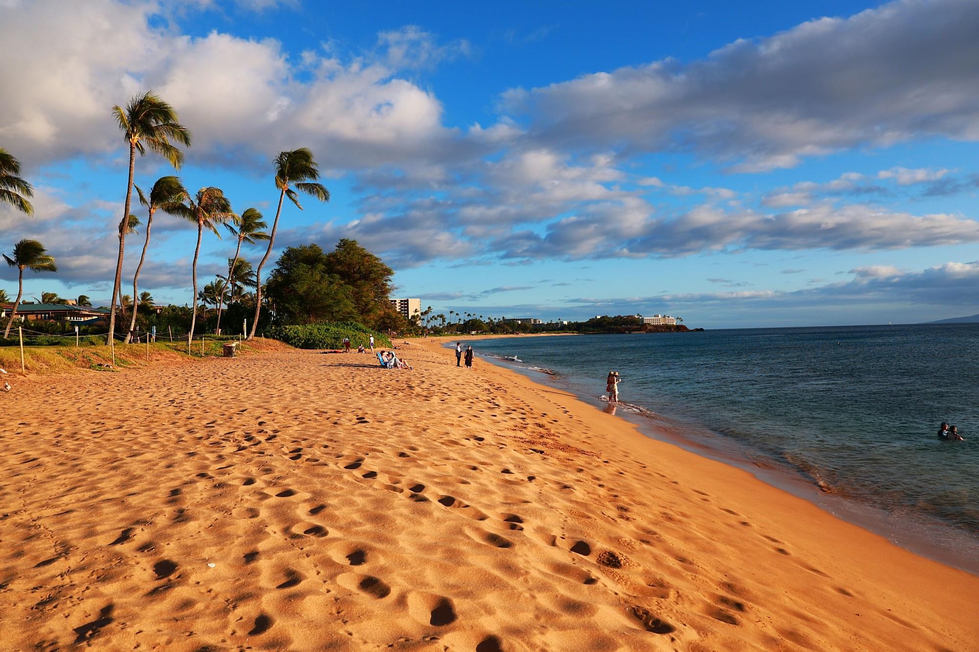 Lahaina, Hawaii, 96761, United States, ,Land,For Sale,1895971