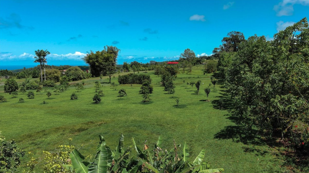 Hakalau, Hawaii, 96710, United States, 4 Bedrooms Bedrooms, ,3 BathroomsBathrooms,Residential,For Sale,1974995