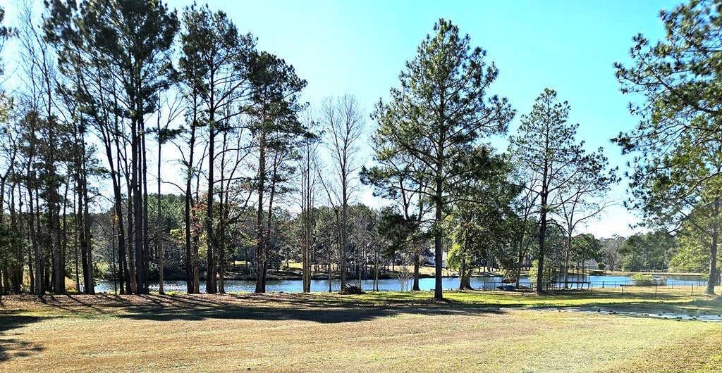 Thomasville, Georgia, 31757, United States, 4 Bedrooms Bedrooms, ,4 BathroomsBathrooms,Residential,For Sale,2007494