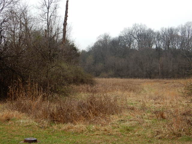 Clermont, Kentucky, 40110, United States, ,Land,For Sale,1980542