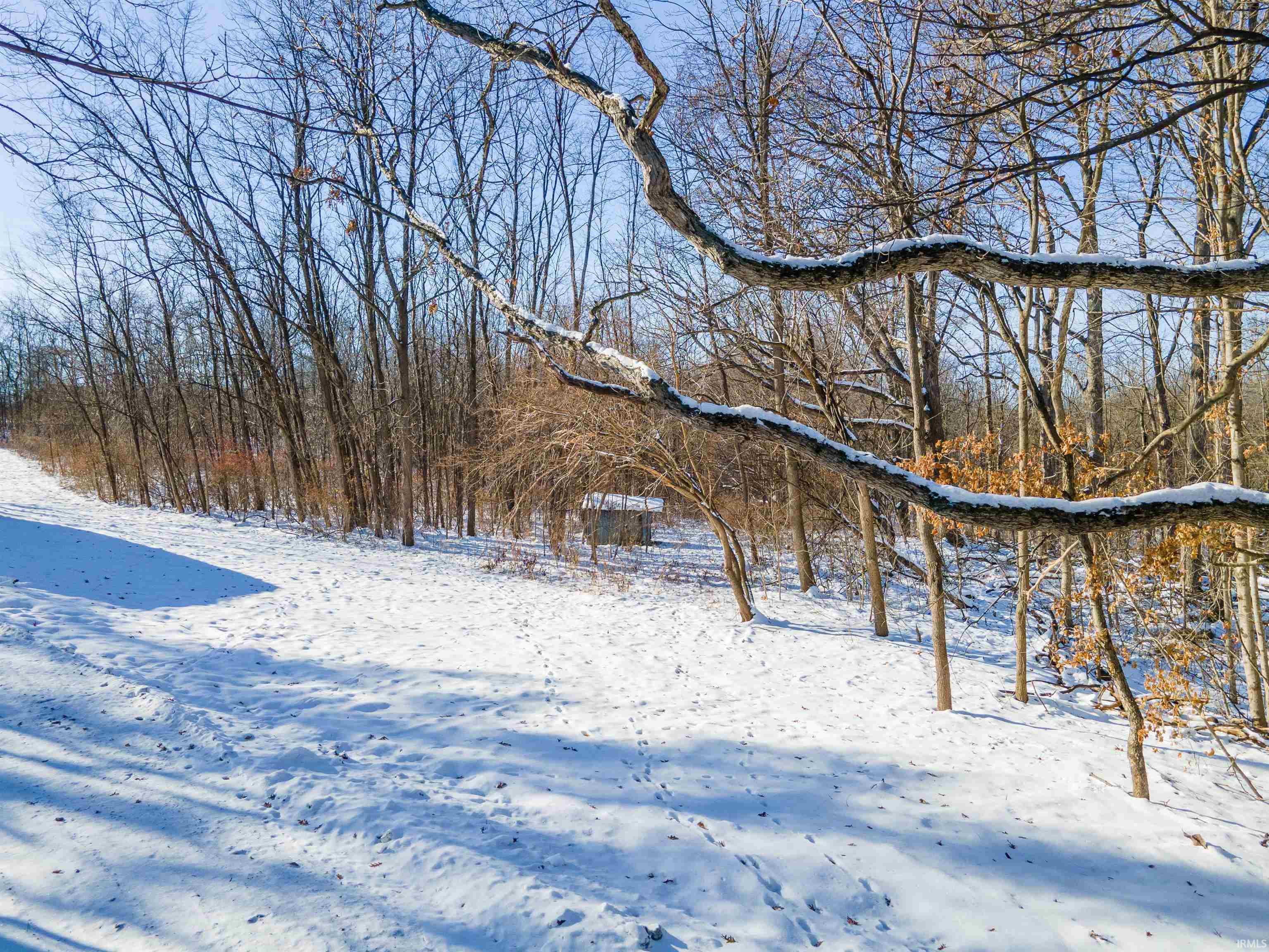 Roanoke, Indiana, 46783, United States, 4 Bedrooms Bedrooms, ,3 BathroomsBathrooms,Residential,For Sale,2005633