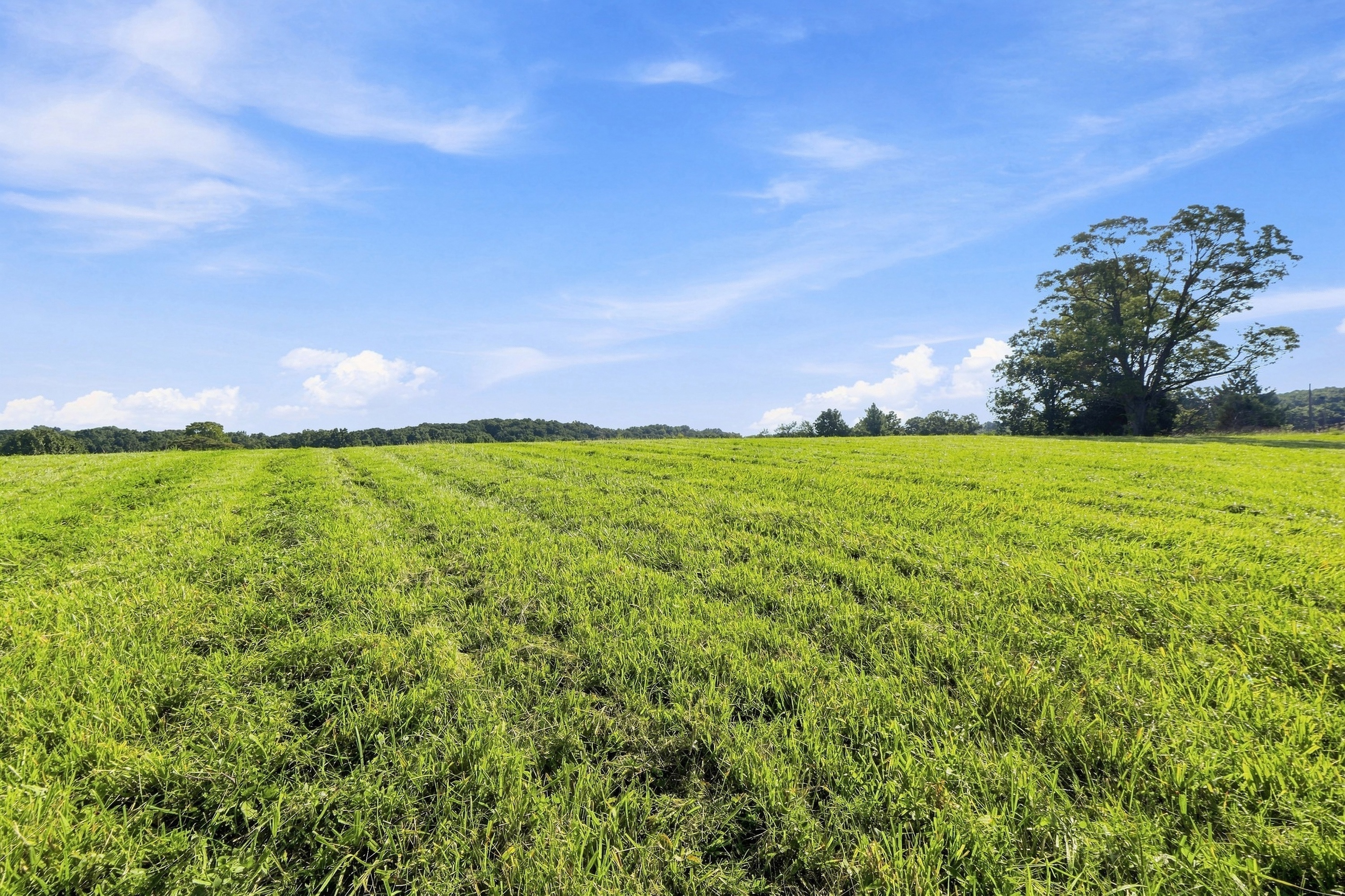  Tract 2 Ballard School Road, La Grange, KY 40031 - 物件實景