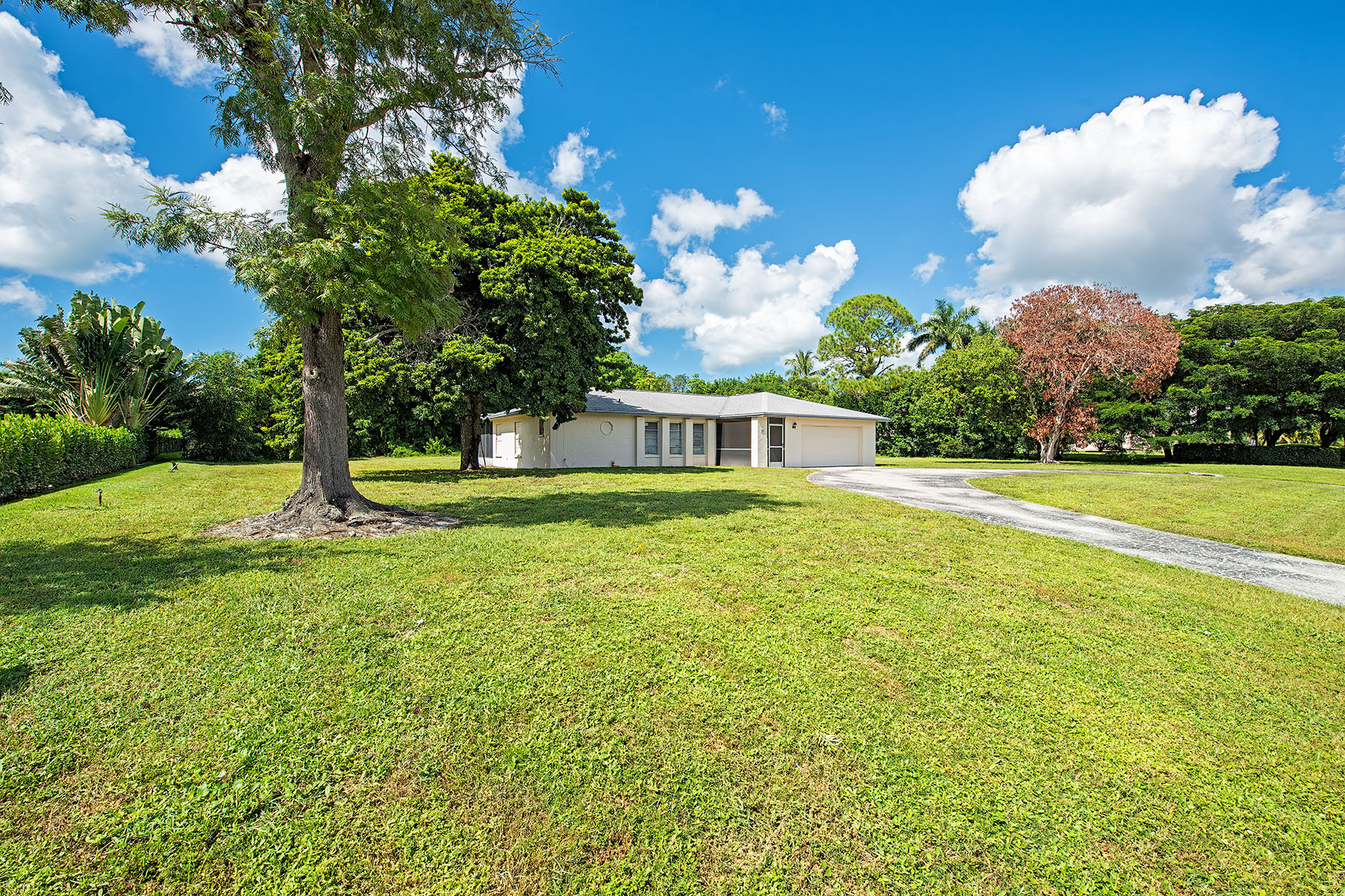  PINE RIDGE - PINE RIDGE ESTATES - 物件實景