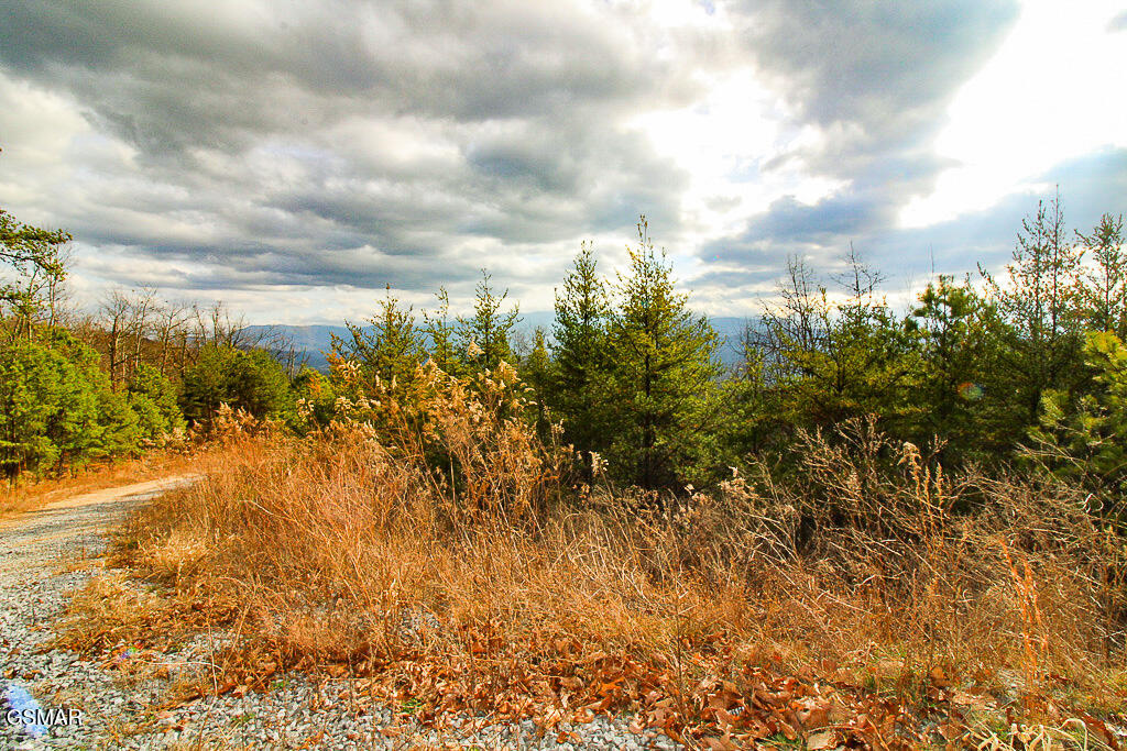 Sevierville, Tennessee, 37876, United States, ,Land,For Sale,2009102