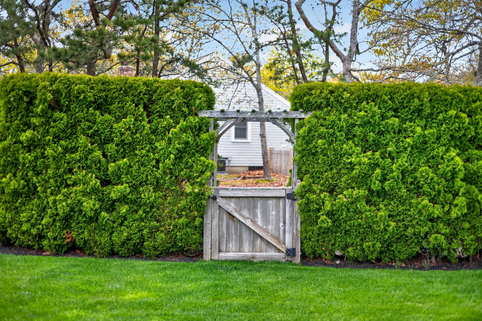  14 Timber Lane, East Dennis, MA, 02641 - 物件實景