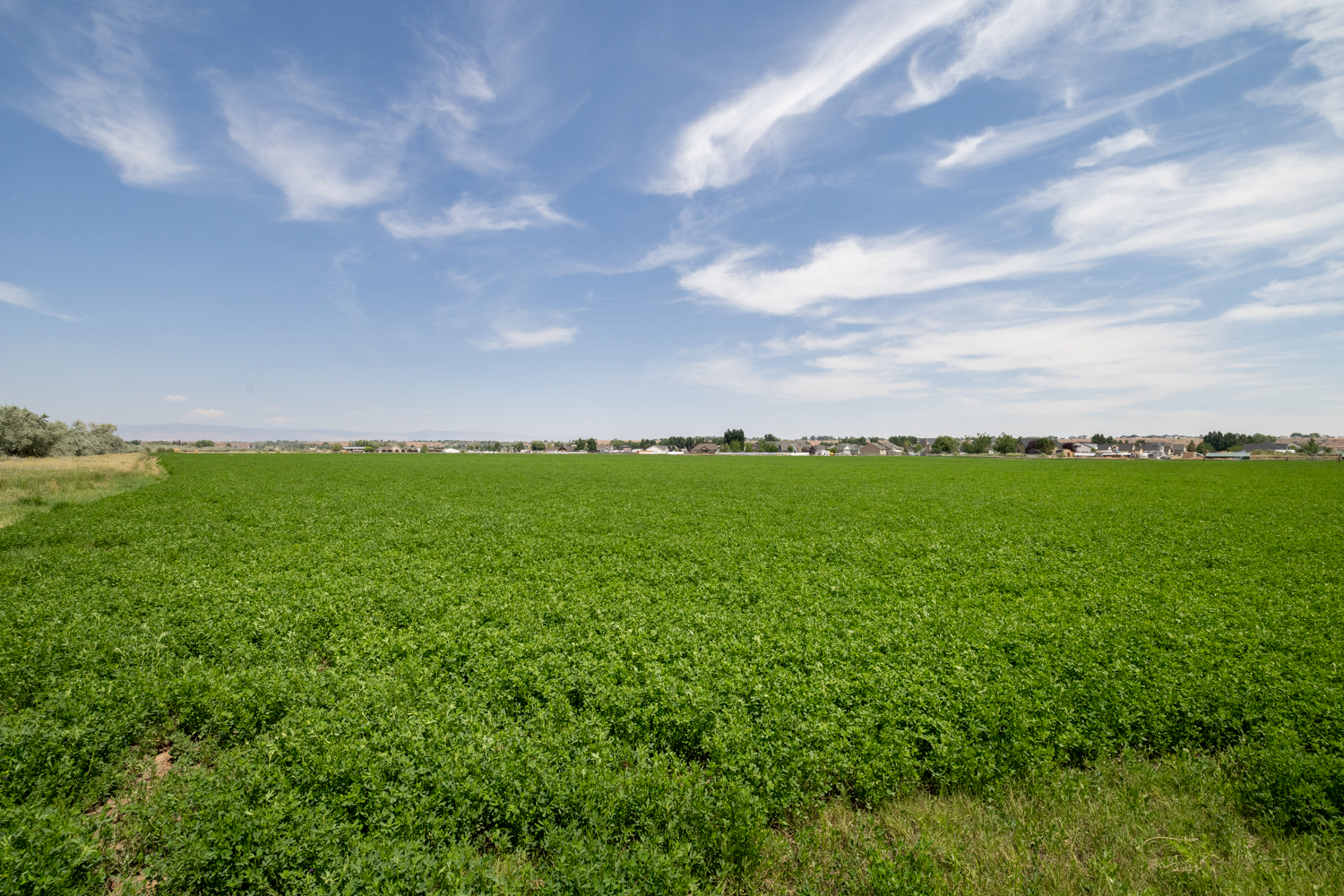 Roosevelt, Utah, 84066, United States, ,Land,For Sale,1903597