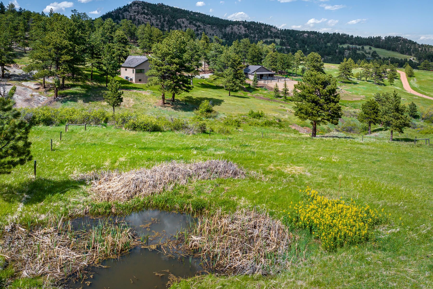  Welcome to Rowell Ranch - 物件實景