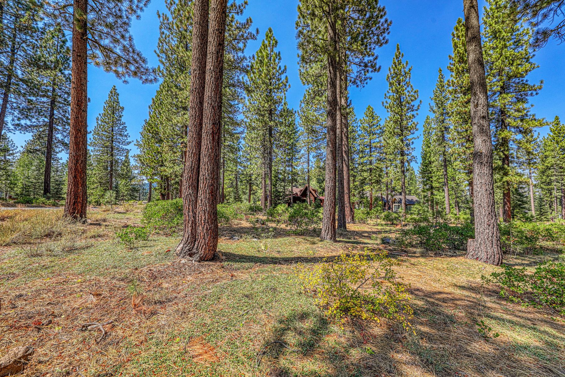  Gorgeous .63 acre Homesite in Truckee