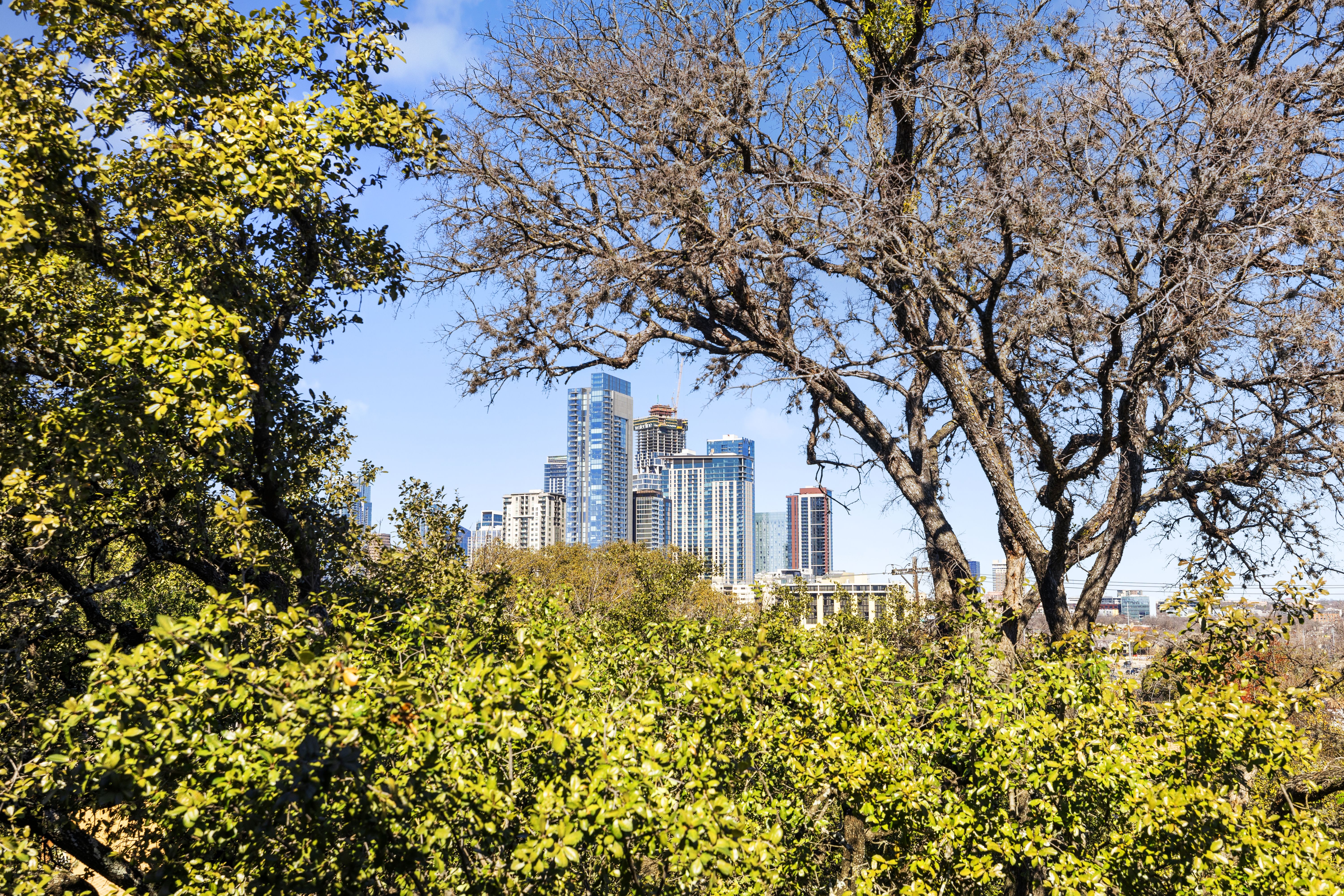  A private, gated Travis Heights retreat steps from Lady Bird Lake - 物件實景