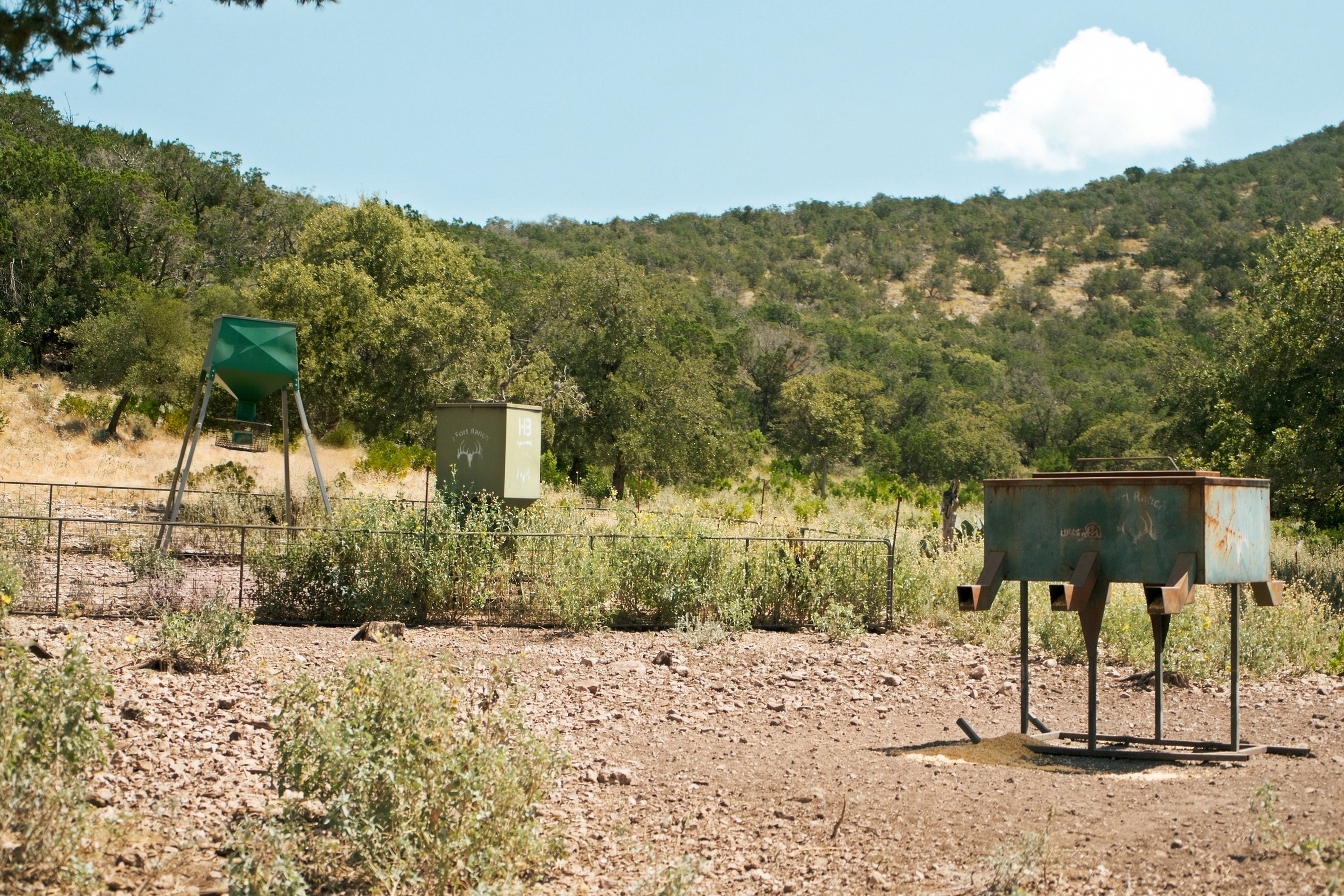  985+/- Acre 12 Springs Ranch - 物件實景