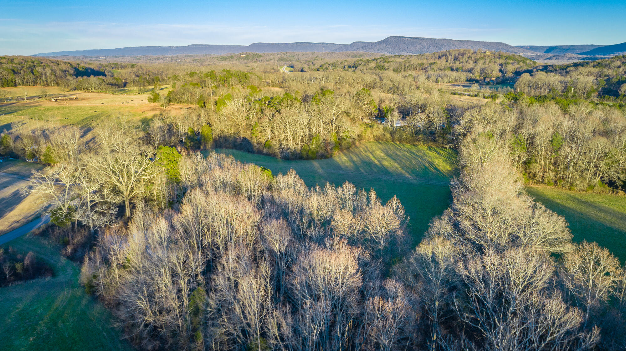 Jasper, Tennessee, 37347, United States, ,Land,For Sale,2009998