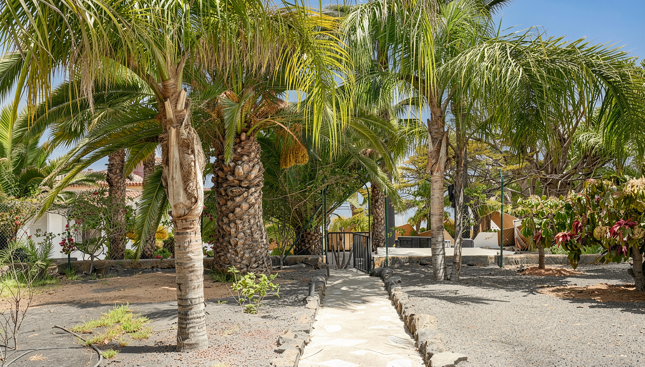  Boutique Style Residential Complex in Los Llanos de Aridane - 物件實景