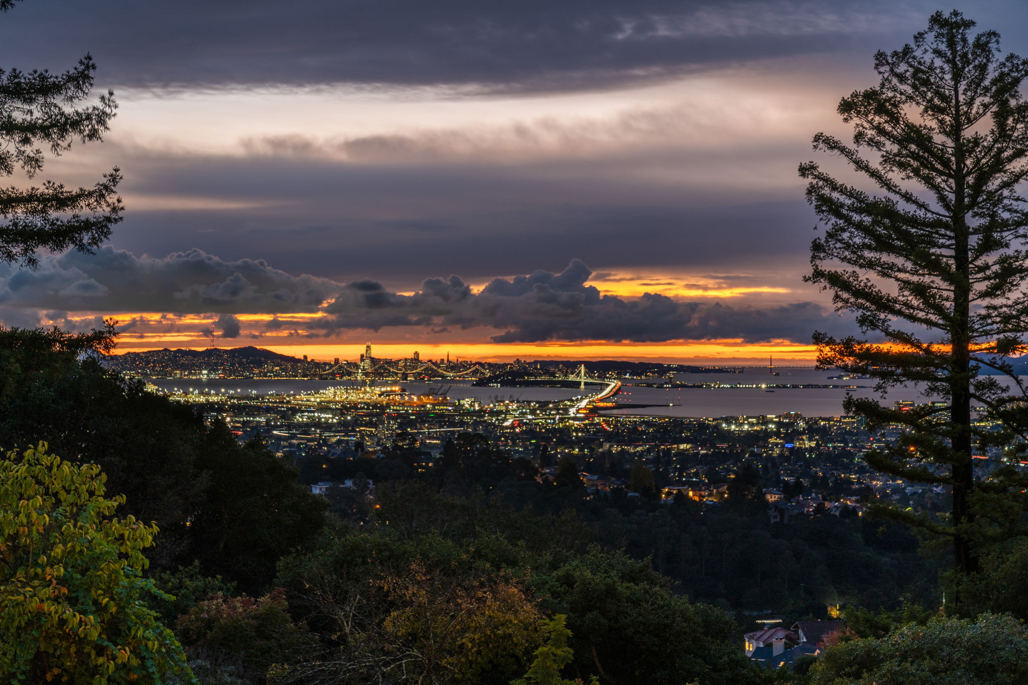  6257 Virgo Road - 物件實景