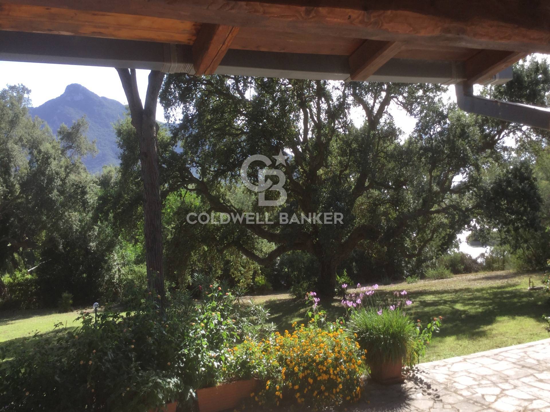 Via Tamerice, Sabaudia, Latina, 04016, IT, 5 Bedrooms Bedrooms, ,4 BathroomsBathrooms,Residential,For Sale,Via Tamerice,1611092