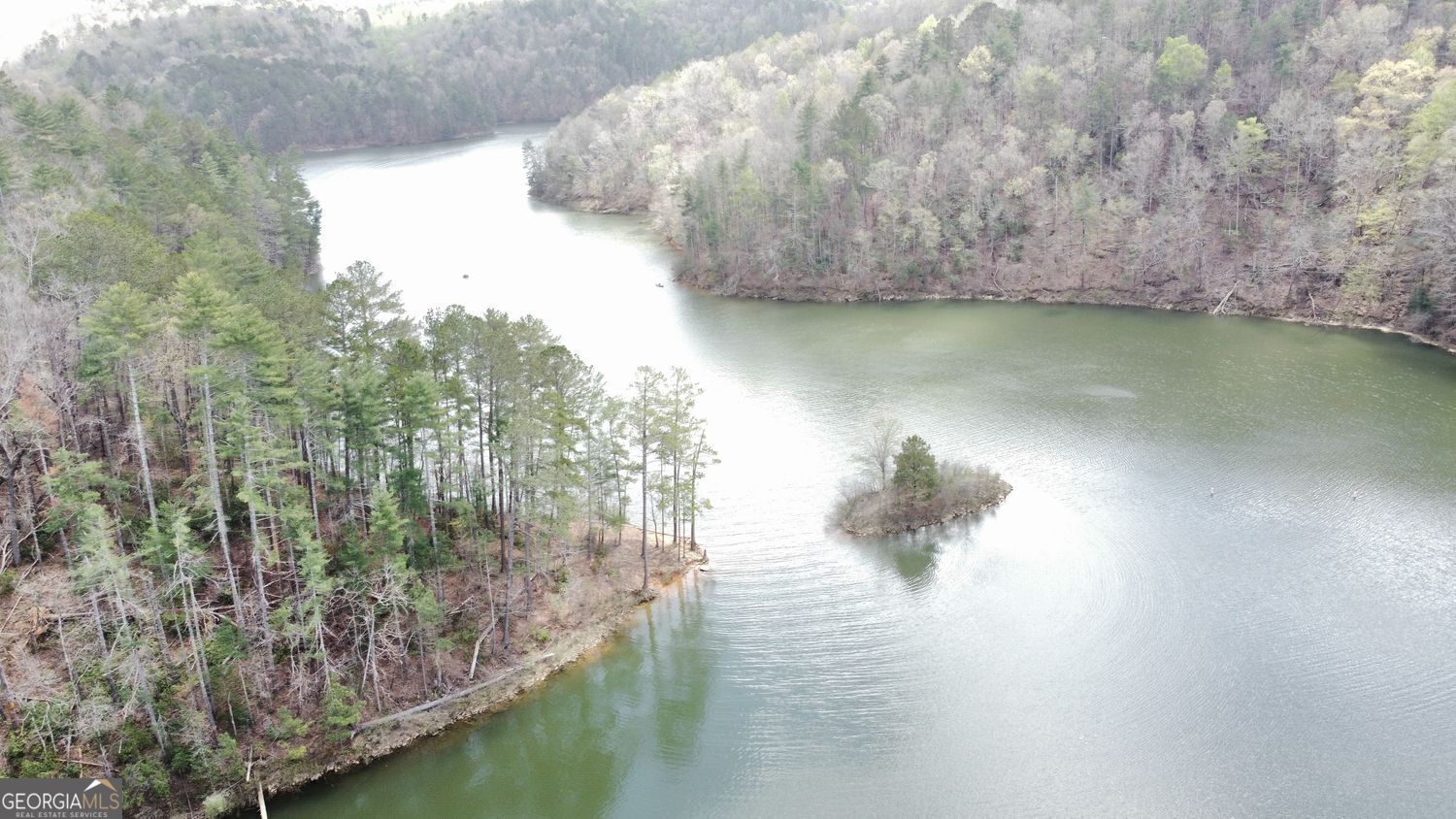 Ellijay, Georgia, 30540, United States, 3 Bedrooms Bedrooms, ,3 BathroomsBathrooms,Residential,For Sale,1858970
