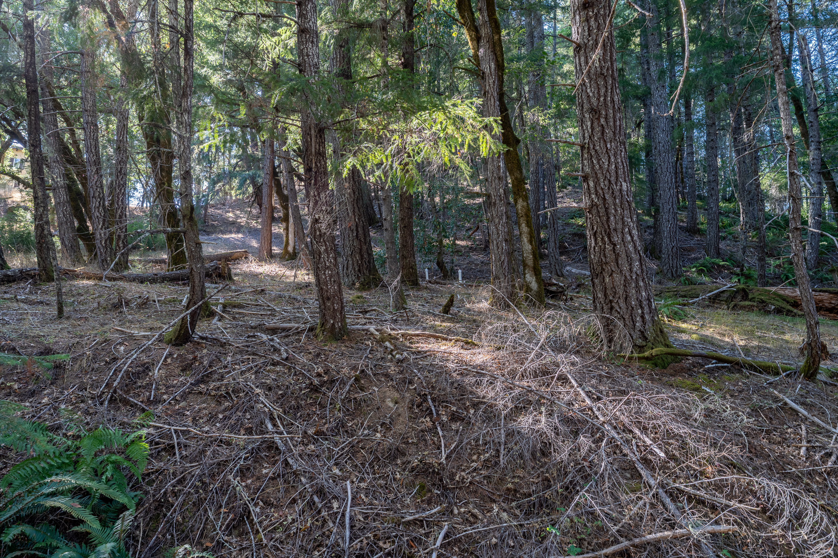 Willits, California, 95490, United States, 2 Bedrooms Bedrooms, ,2 BathroomsBathrooms,Residential,For Sale,1959114