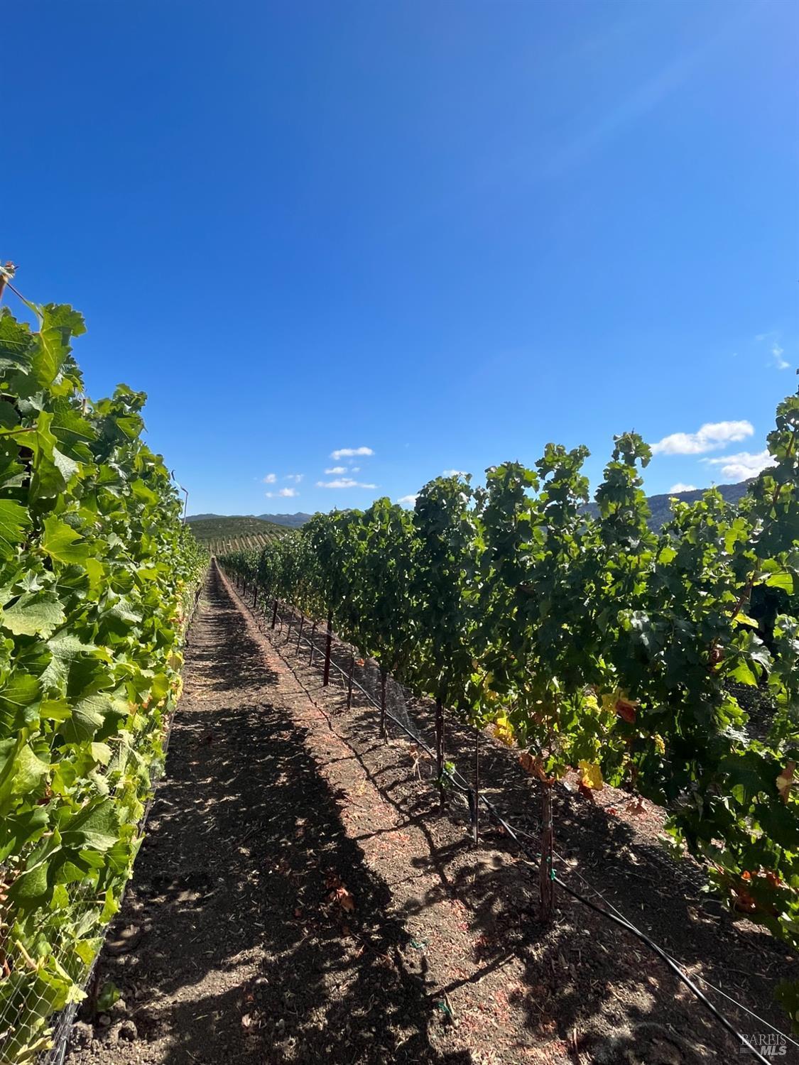 Napa, California, 94558, United States, 3 Bedrooms Bedrooms, ,3 BathroomsBathrooms,Residential,For Sale,1991897