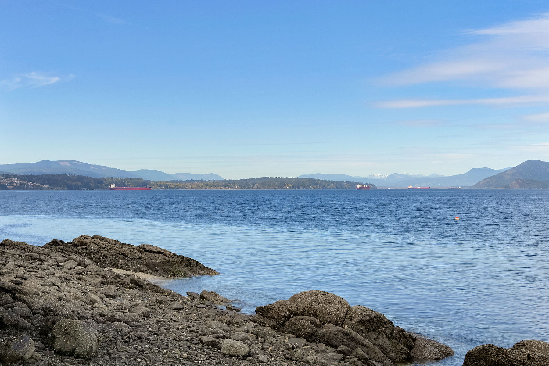  Serene Woodland Charm - 物件實景