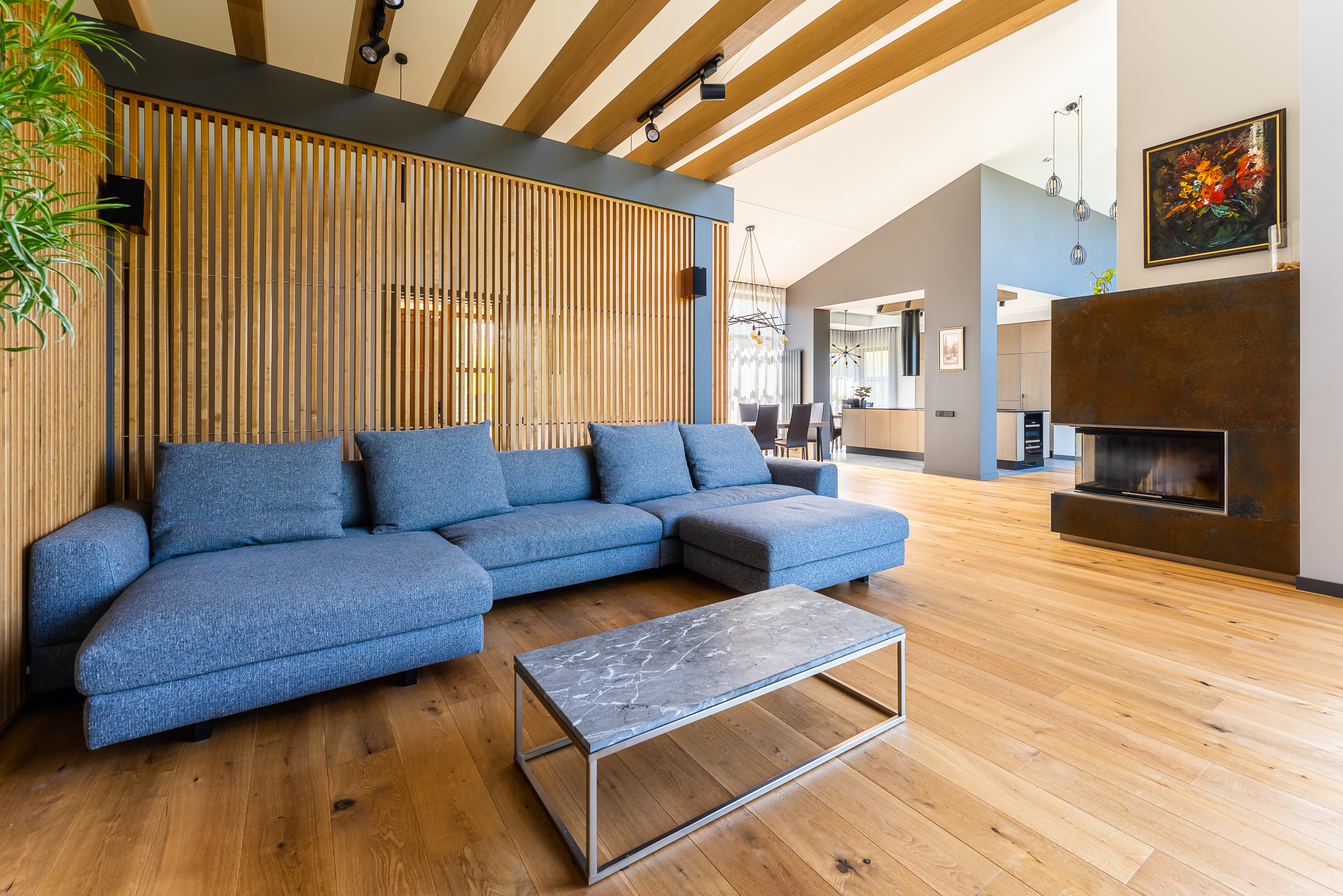  Modern house on the banks of the Lielupe River - 物件實景
