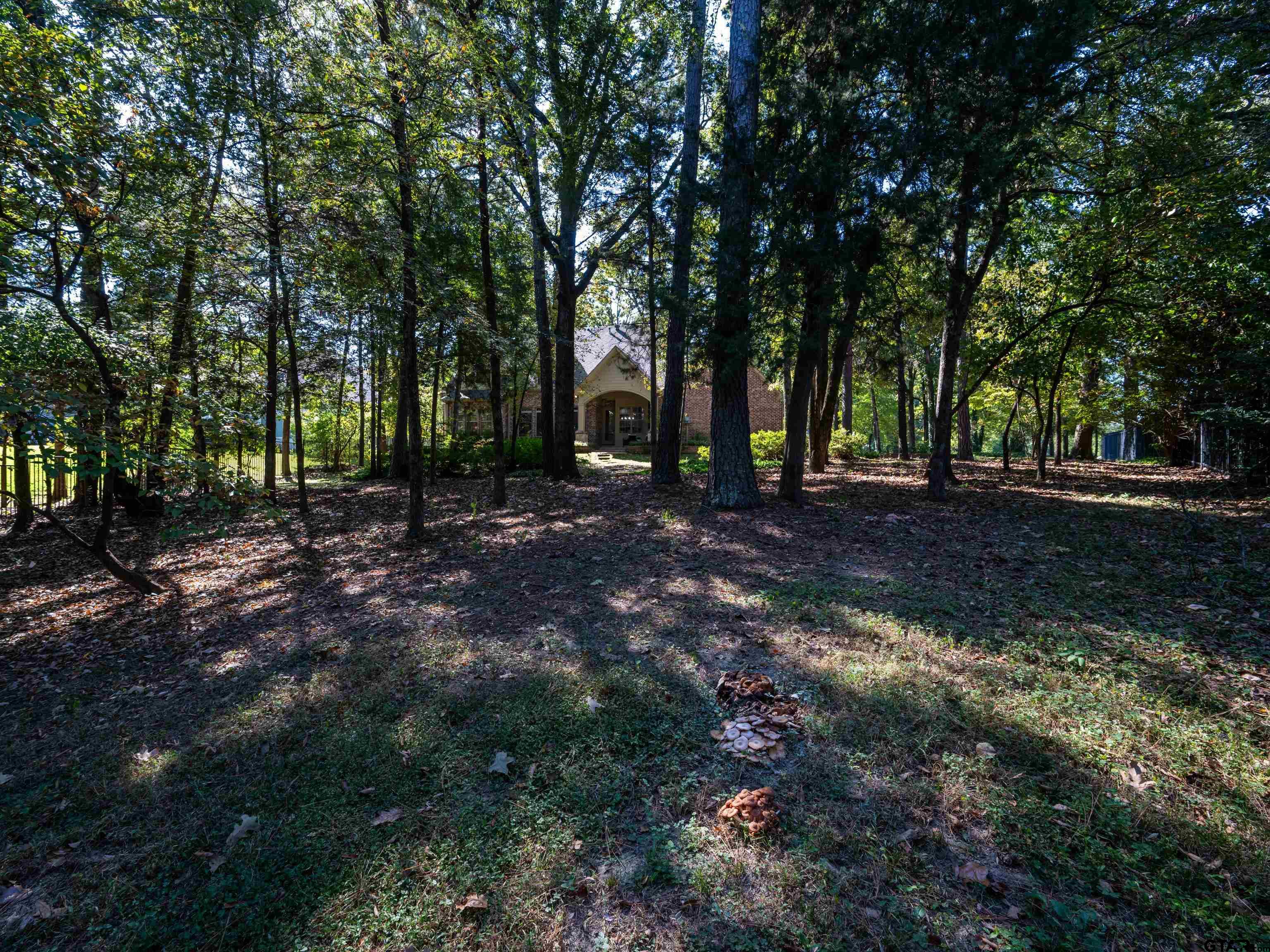 Tyler, Texas, 75703, United States, 4 Bedrooms Bedrooms, ,4 BathroomsBathrooms,Residential,For Sale,1970212