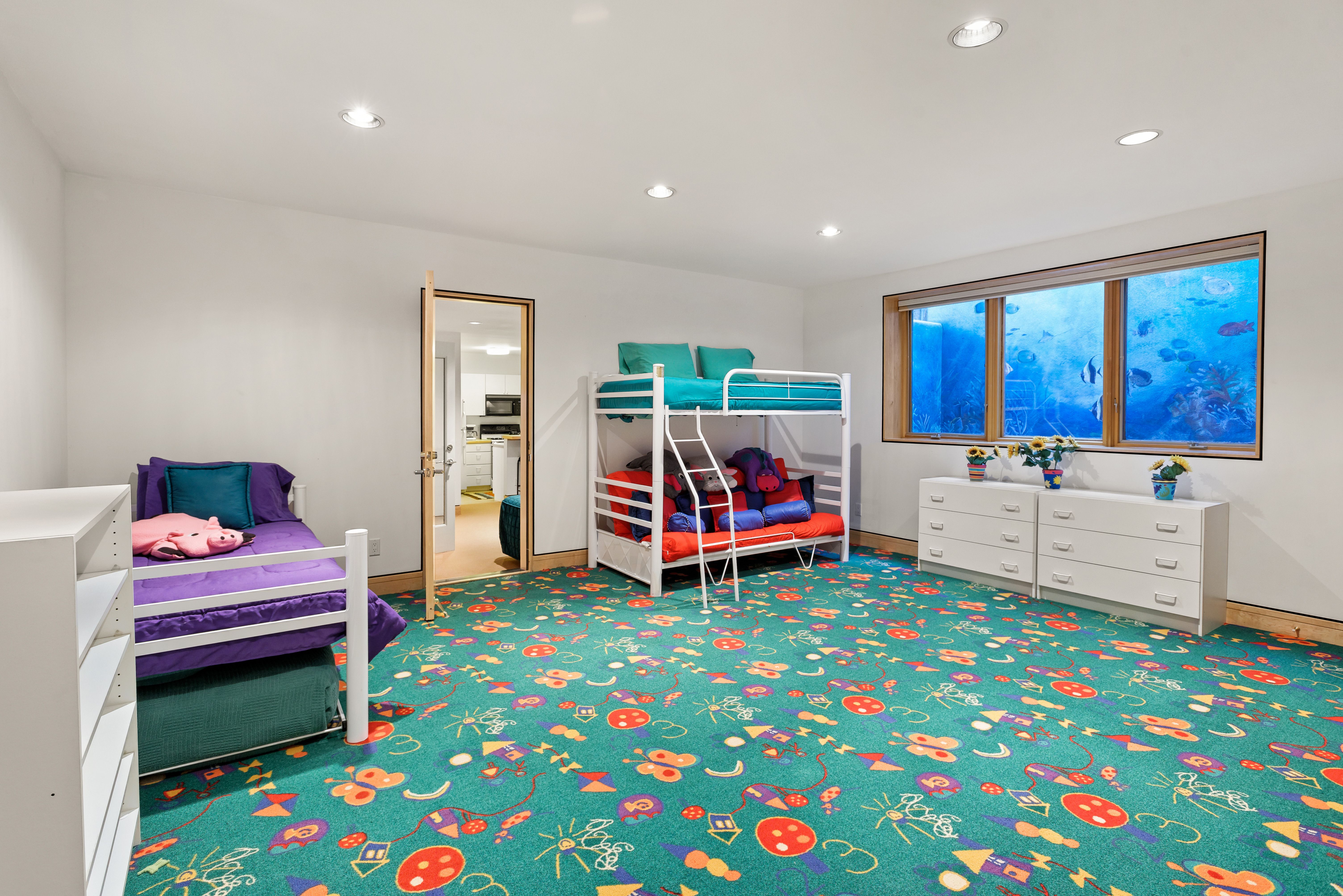  530 West Francis Street, Aspen, CO 81611 - 物件實景