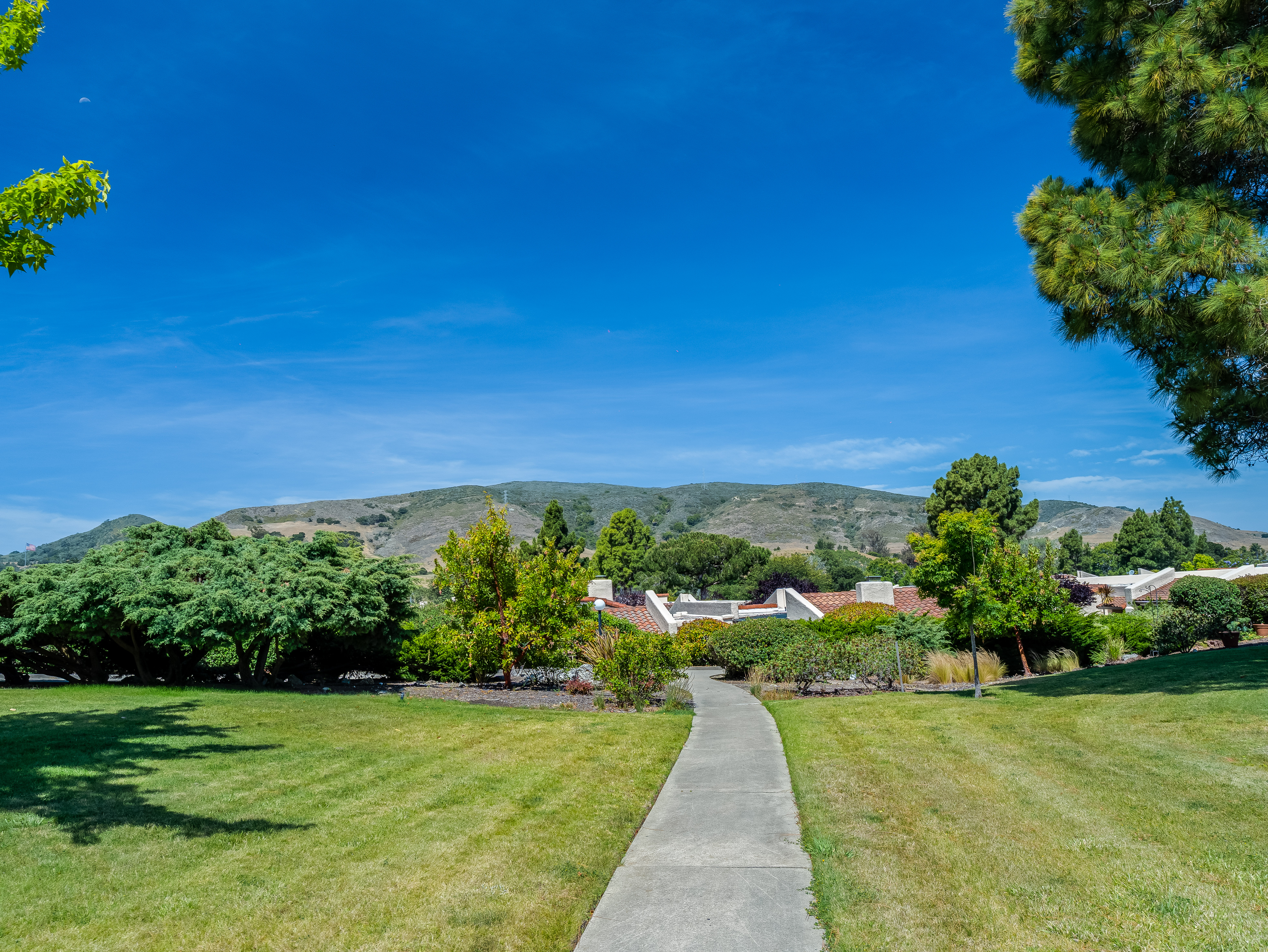  Single-Level Los Verdes Park Home with Hillside Views - 物件實景