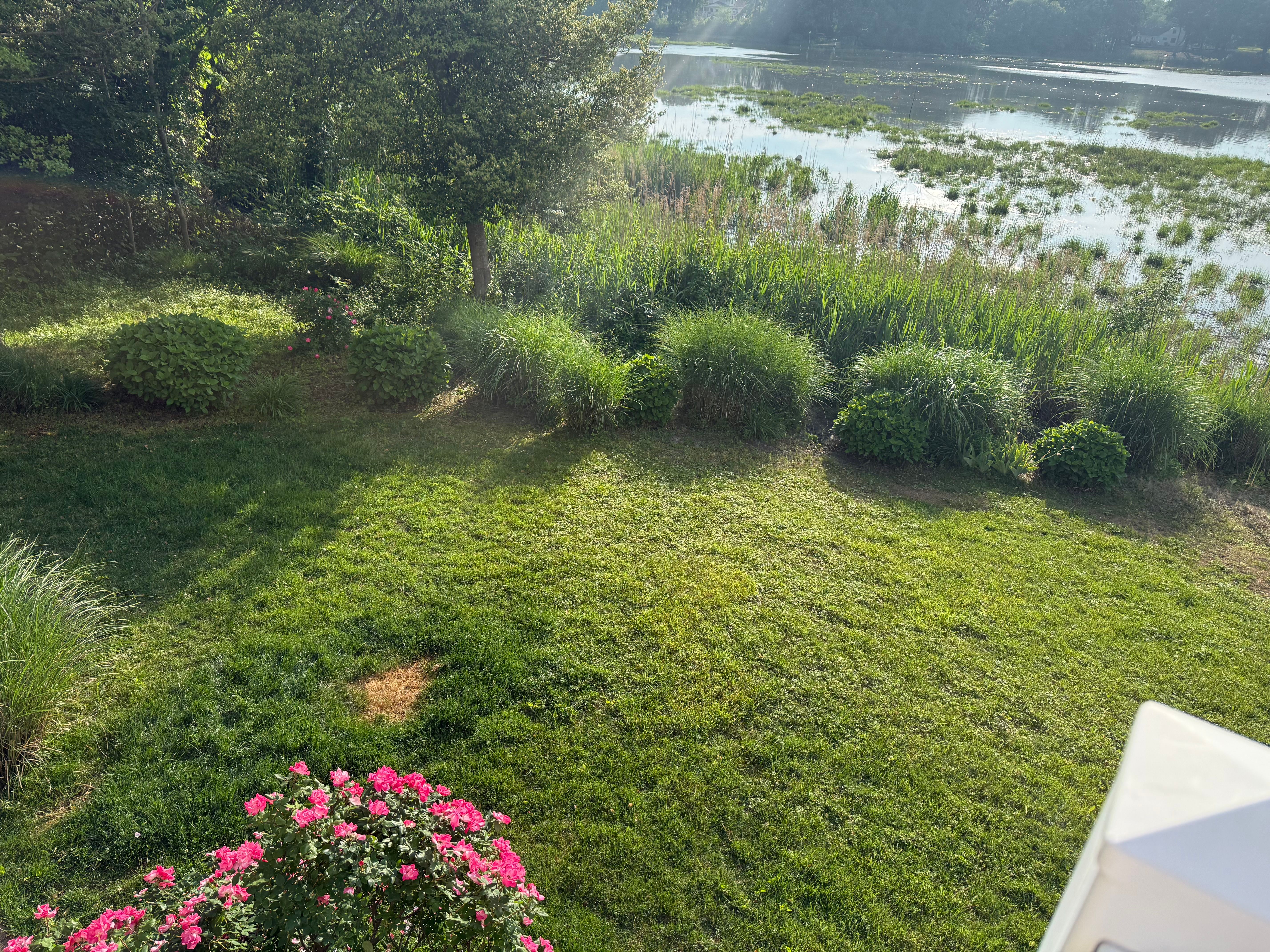  1 Barr, Linwood, NJ, 08221 - 物件實景