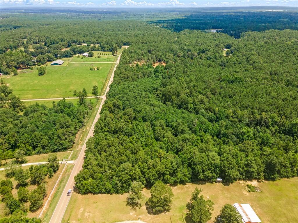 Bush, Louisiana, 70431, United States, ,Land,For Sale,1987560