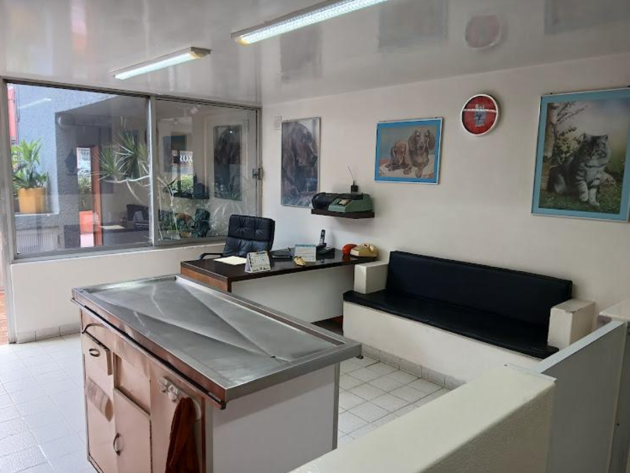 Coyoacán, Ciudad de México, 04200, Mexico, 4 Bedrooms Bedrooms, ,2 BathroomsBathrooms,Residential,For Sale,1916889