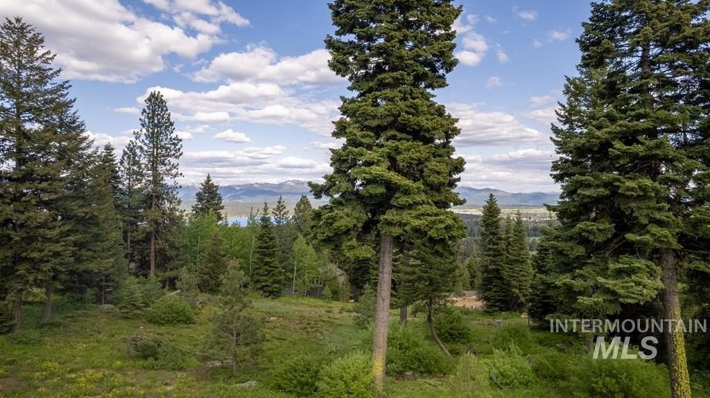 McCall, Idaho, 83638, United States, ,Land,For Sale,1983589