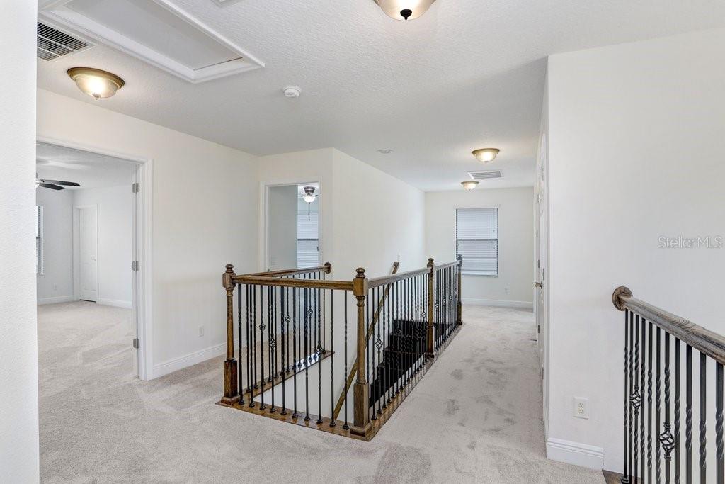 Lutz, Florida, 33558, United States, 5 Bedrooms Bedrooms, ,3 BathroomsBathrooms,Residential,For Sale,1784935