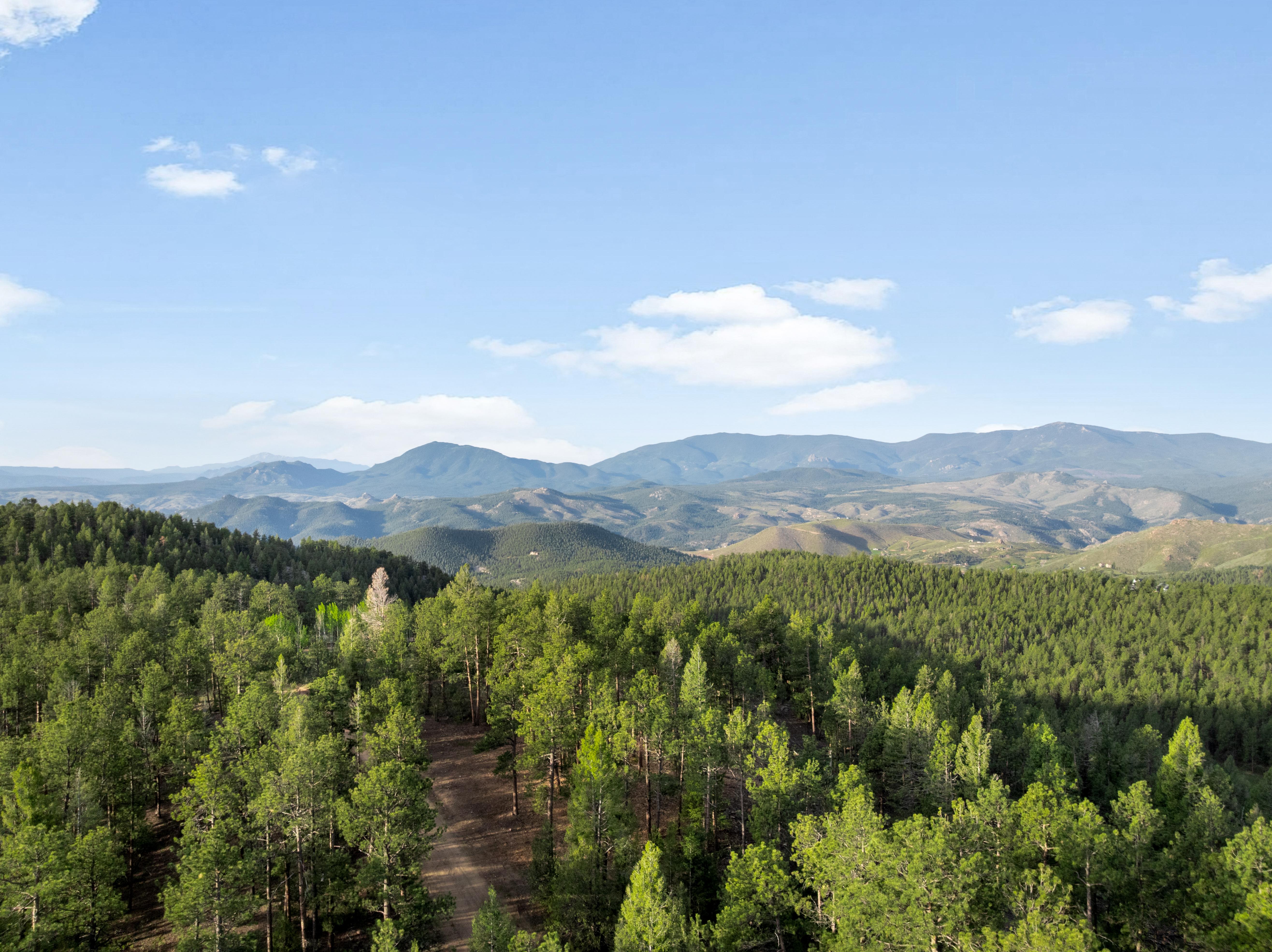  .275 acres of rolling grass, towering trees, & mountain views in every direction - 物件實景