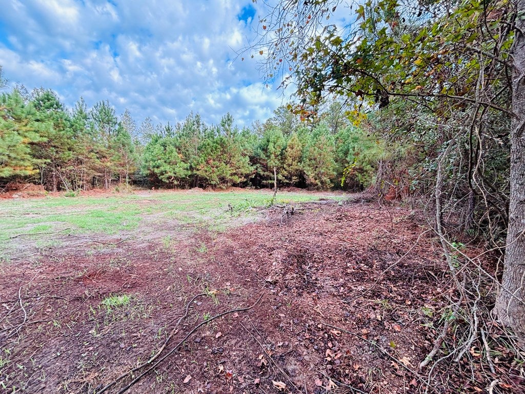 Abbeville, Georgia, 31001, United States, ,Land,For Sale,1975130