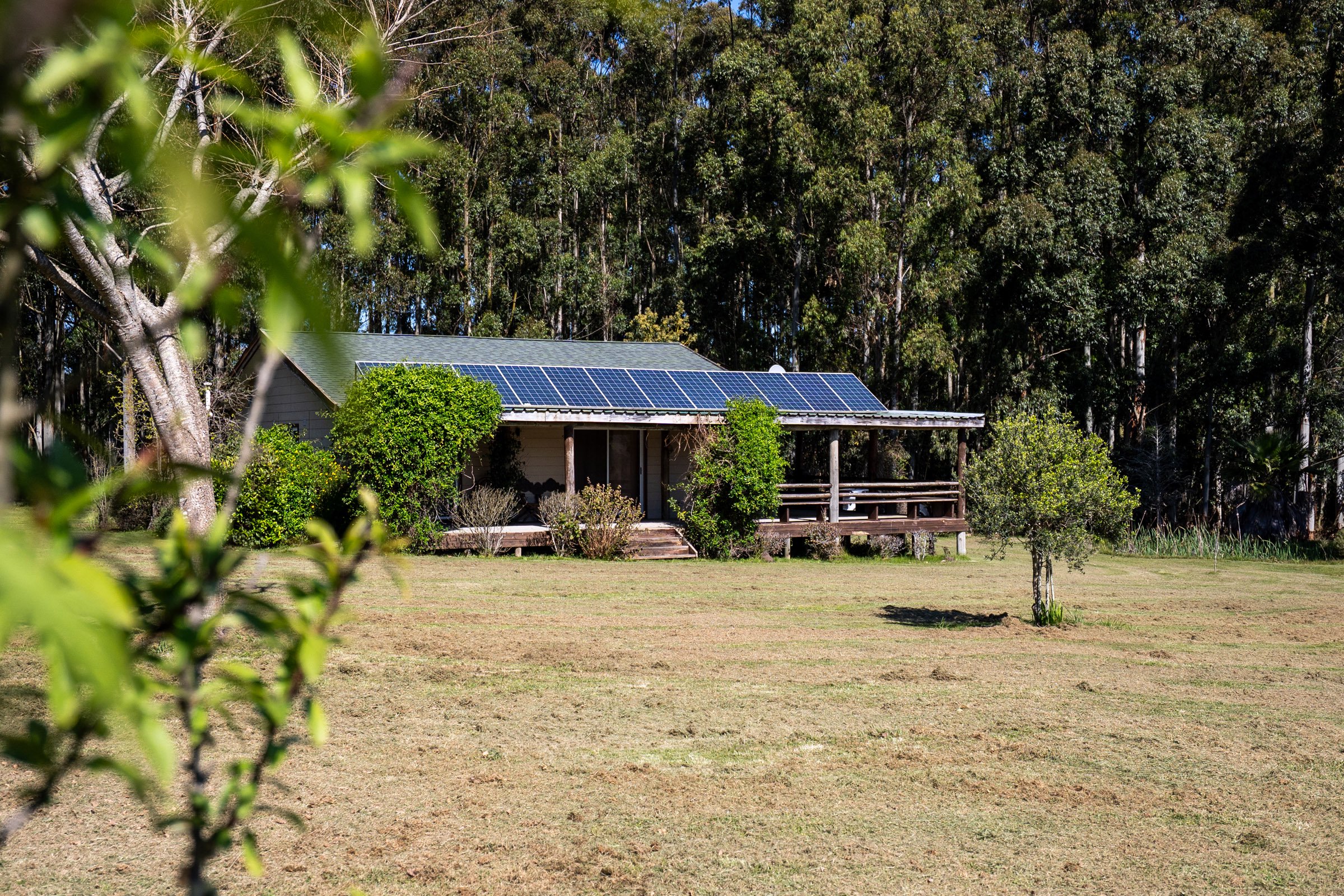  Farm in Lapataia with three buildings. - 物件實景