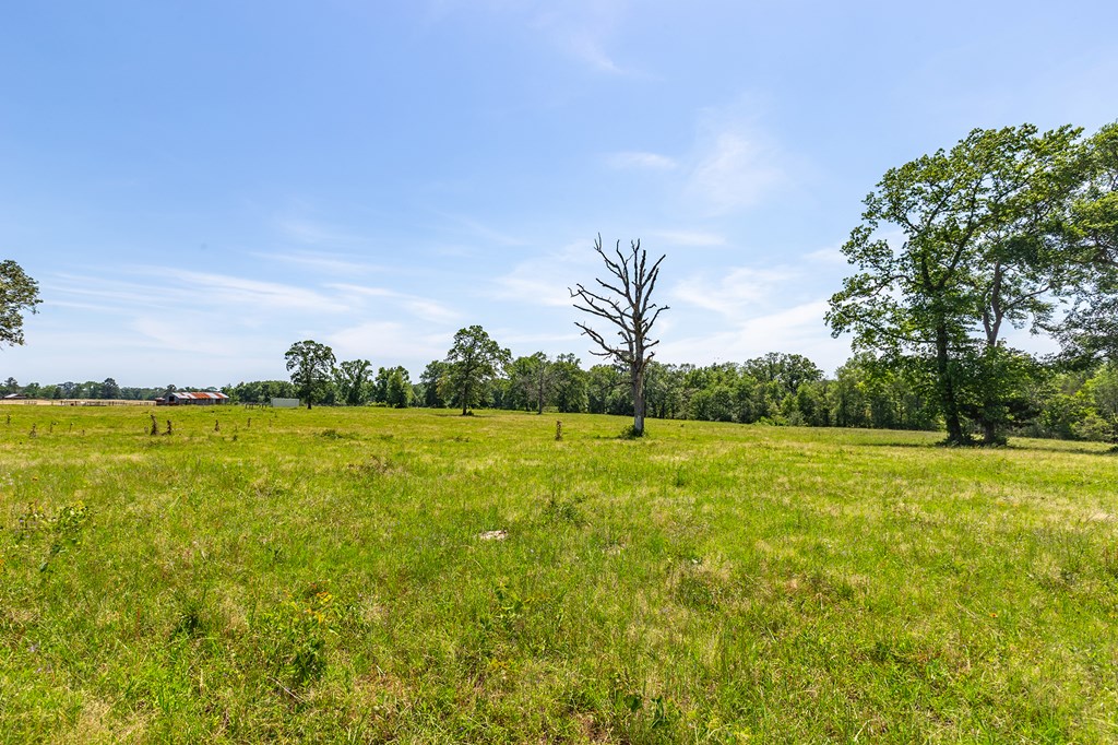 Pollok, Texas, 75969, United States, ,Residential,For Sale,1928088